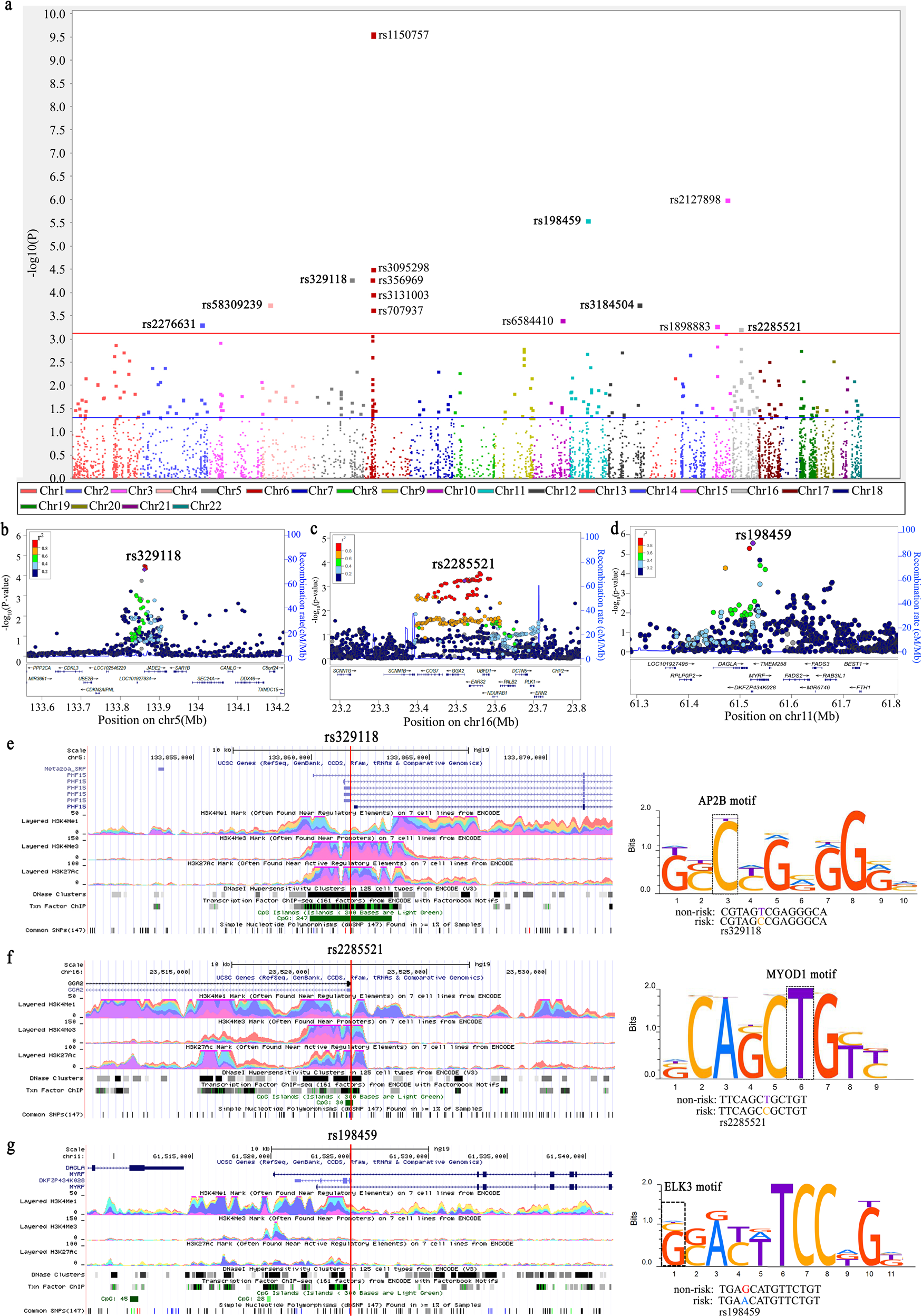 Fig. 2: Association results and functional prediction of lung cancer risk-associated potential splicing SNPs.