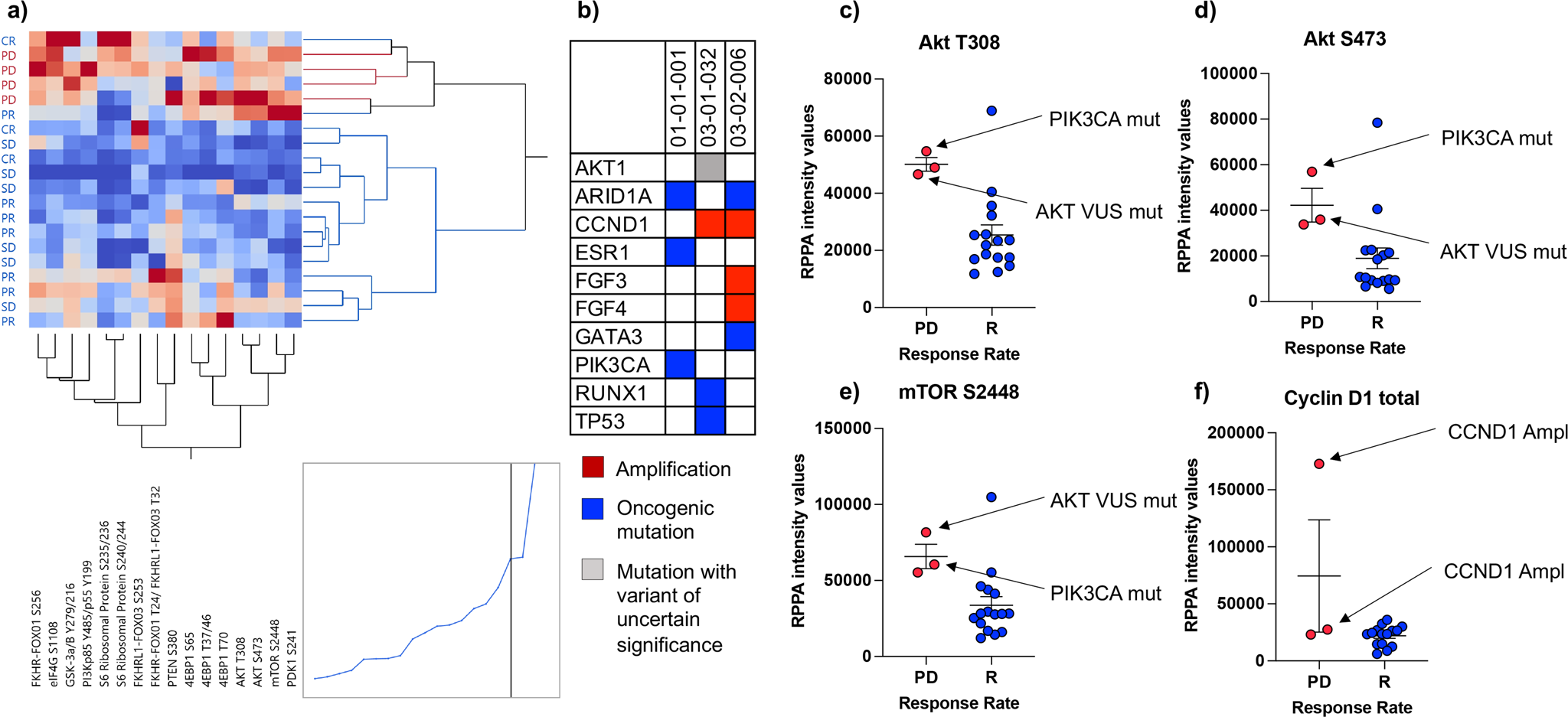 Fig. 4: Correlation between oncogenic genomic alterations and protein expression/activation in patients with progressive disease.