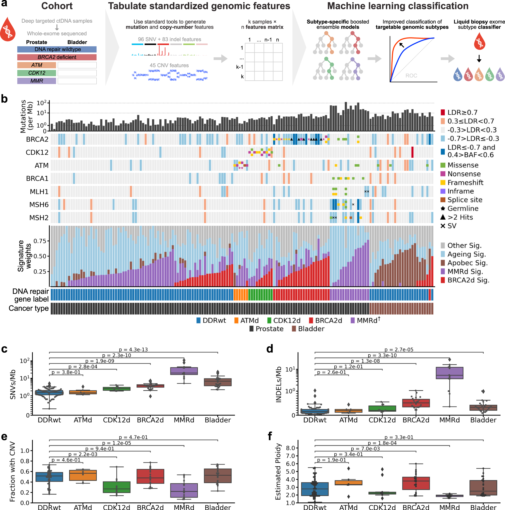 Fig. 1: Dataset overview.