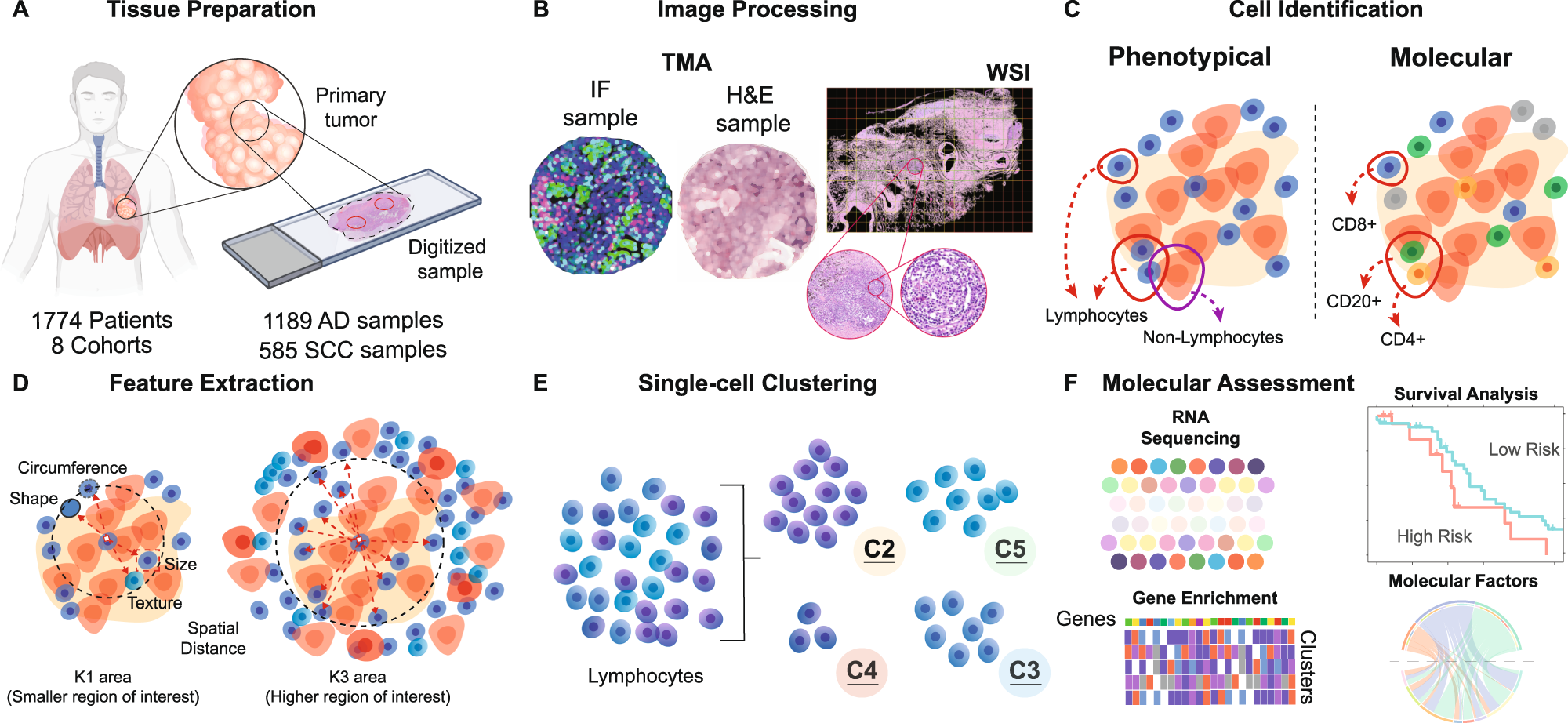 Fig. 2: Workflow of the data preparation and experiments.
