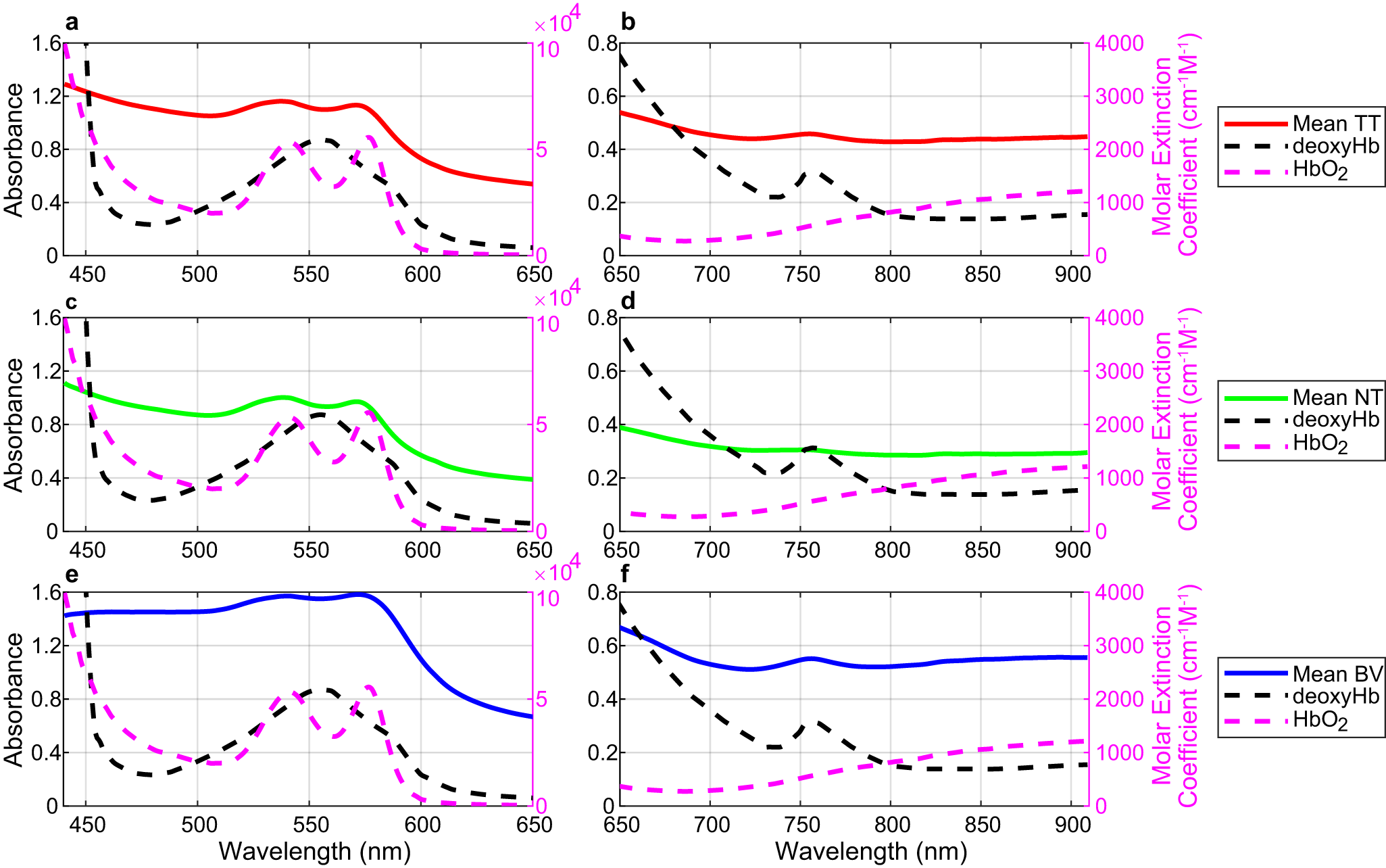 Fig. 3: Spectral characterization of TT, NT, and BV classes and their relationship with HbO2 and deoxyHb.