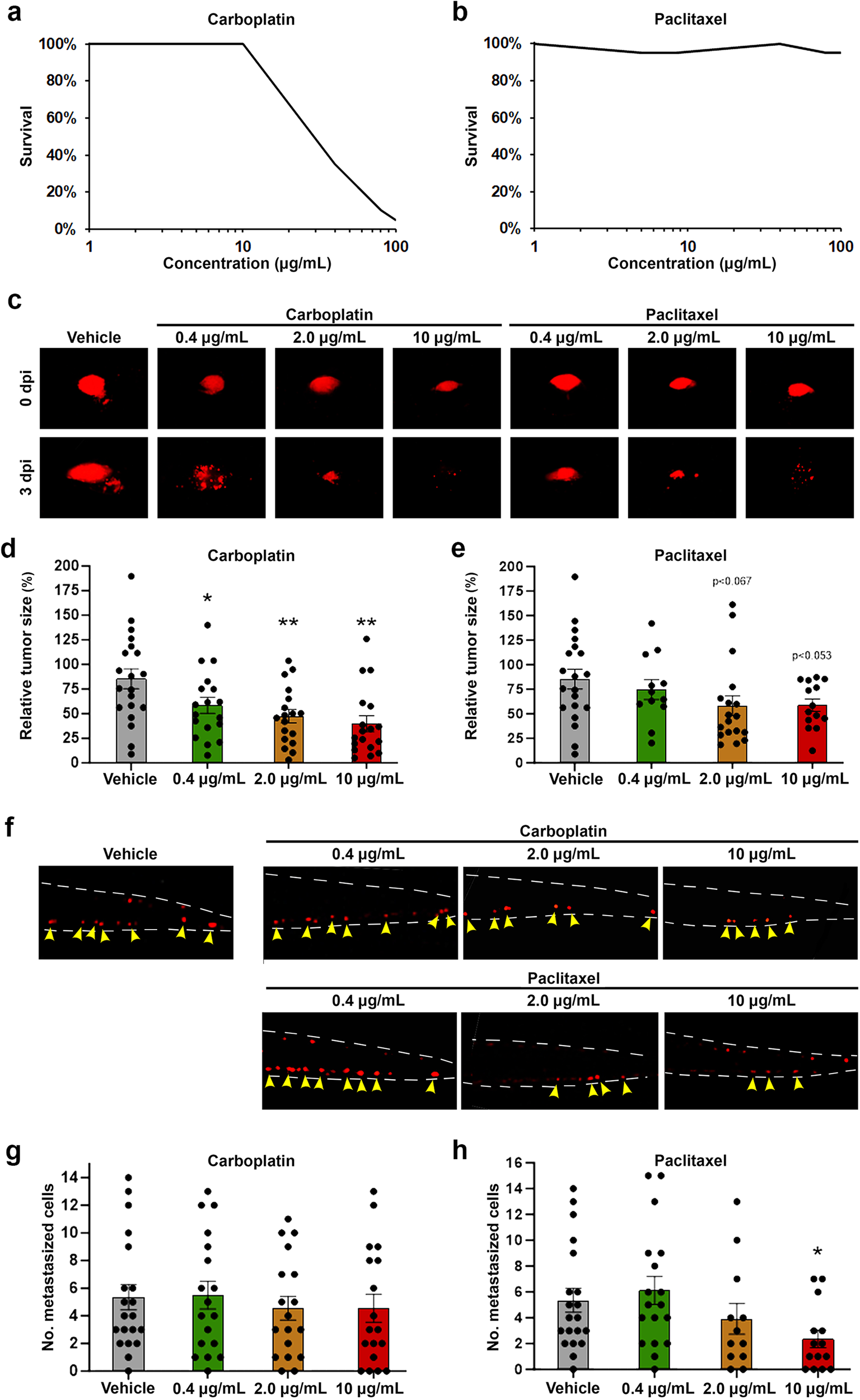 Fig. 1: Carboplatin and paclitaxel demonstrate concentration-dependent safety and anti-cancer efficacy in IGROV-1 EOC models.