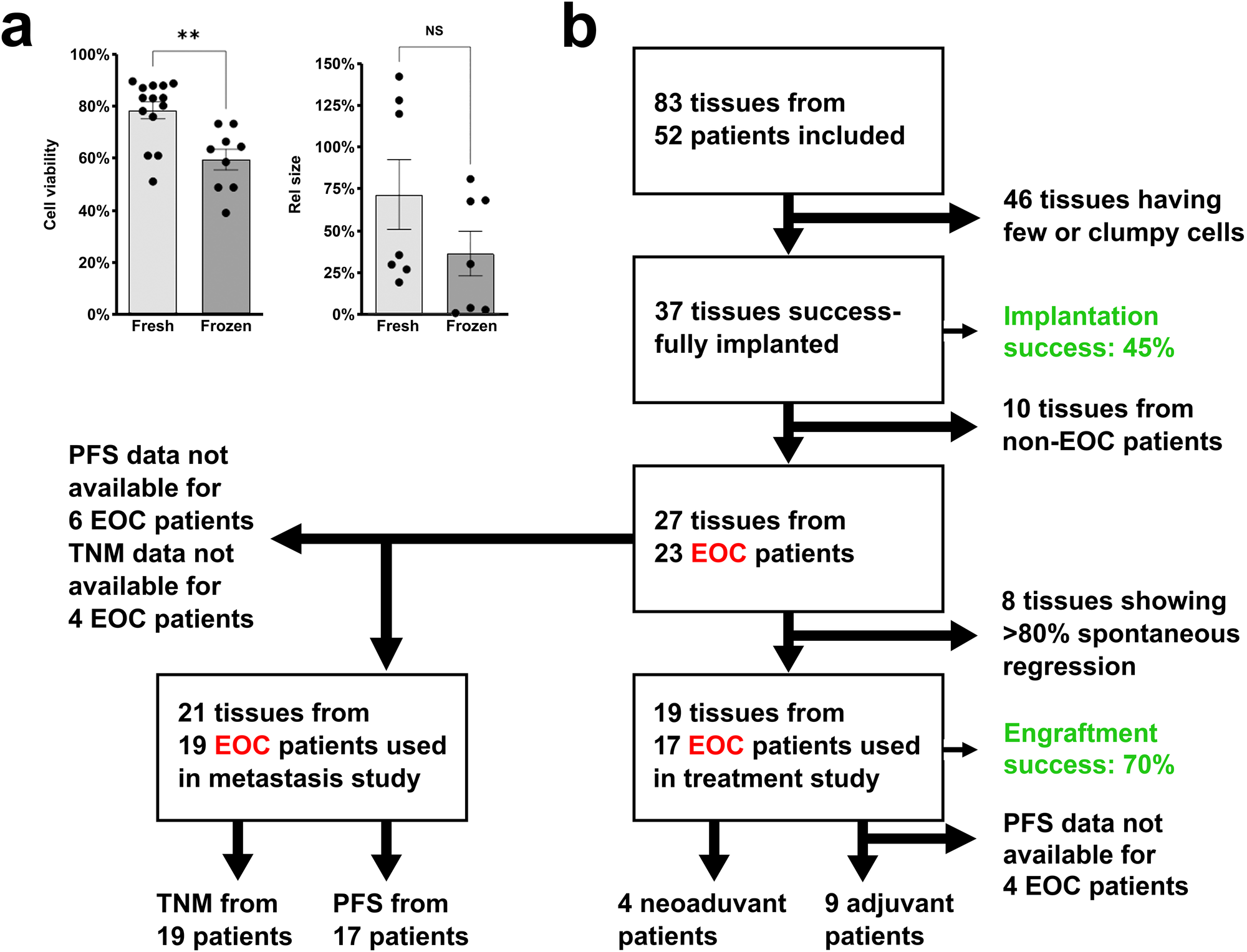 Fig. 2: Inclusion and exclusion criteria and handling of patient samples in the clinical study.