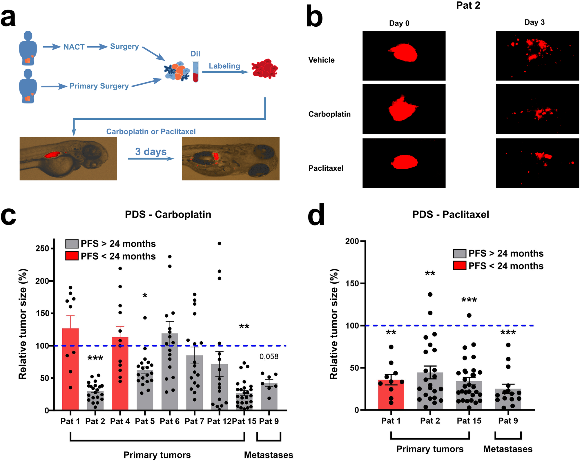 Fig. 5: Treatment outcome in ZTX models is associated with PFS in the corresponding patients.