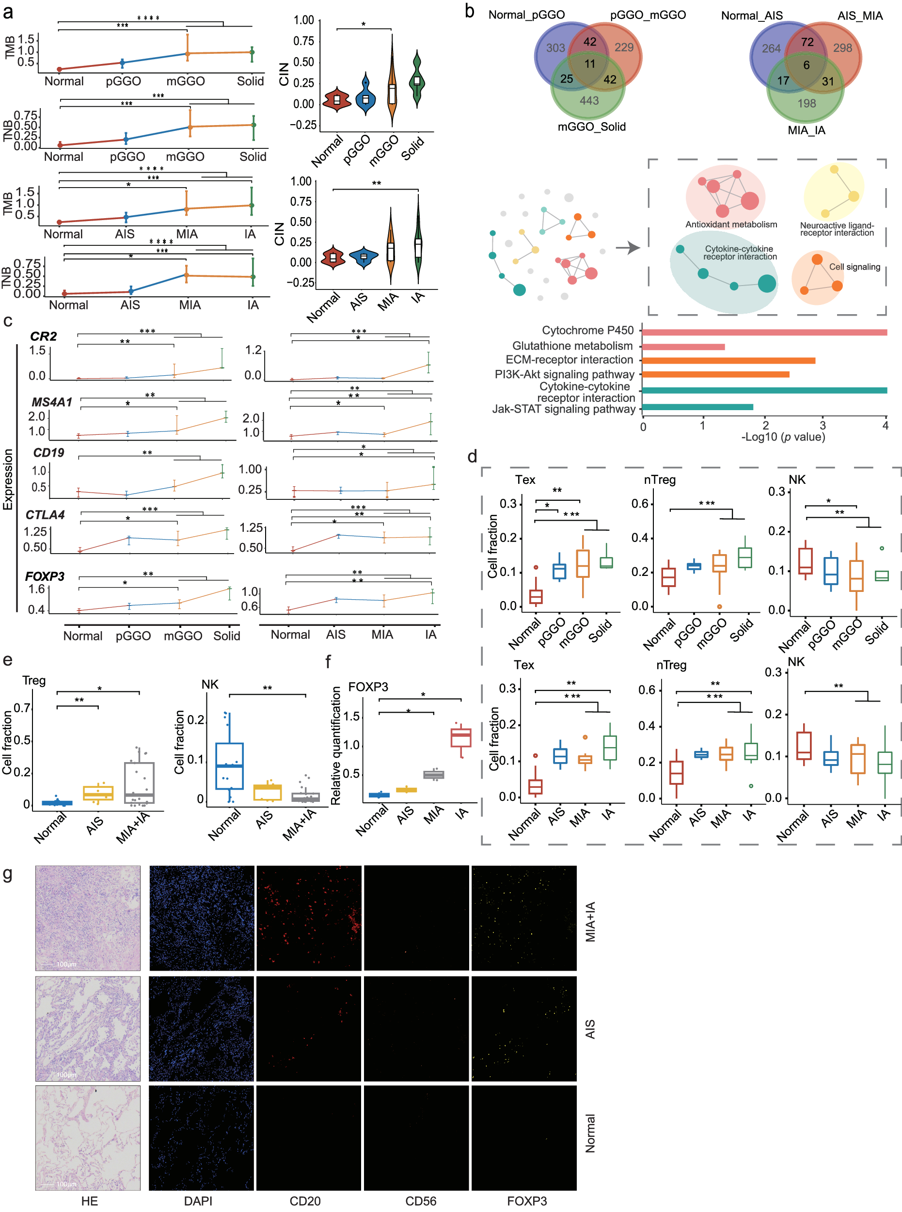 Fig. 5: Alterations in genomic and transcriptomic characteristics during the progression of MPLCs.
