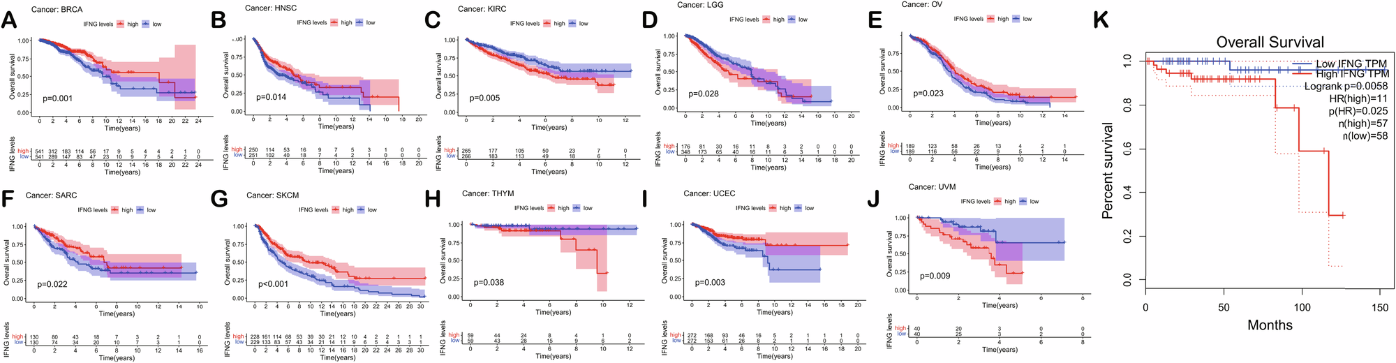 Fig. 8: Prognostic correlation analysis of IFNG in different cancer patients.