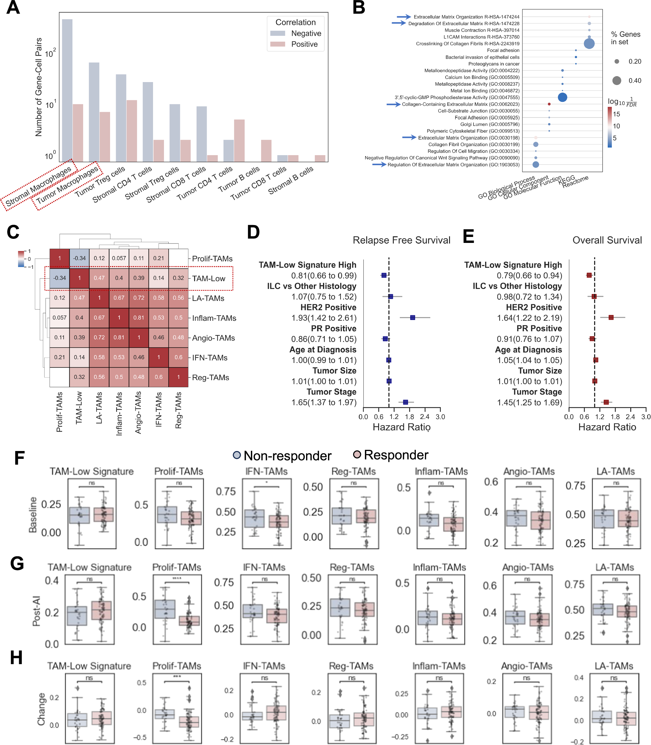 Fig. 3: Derivation and clinical associations of TAM-Low signature.