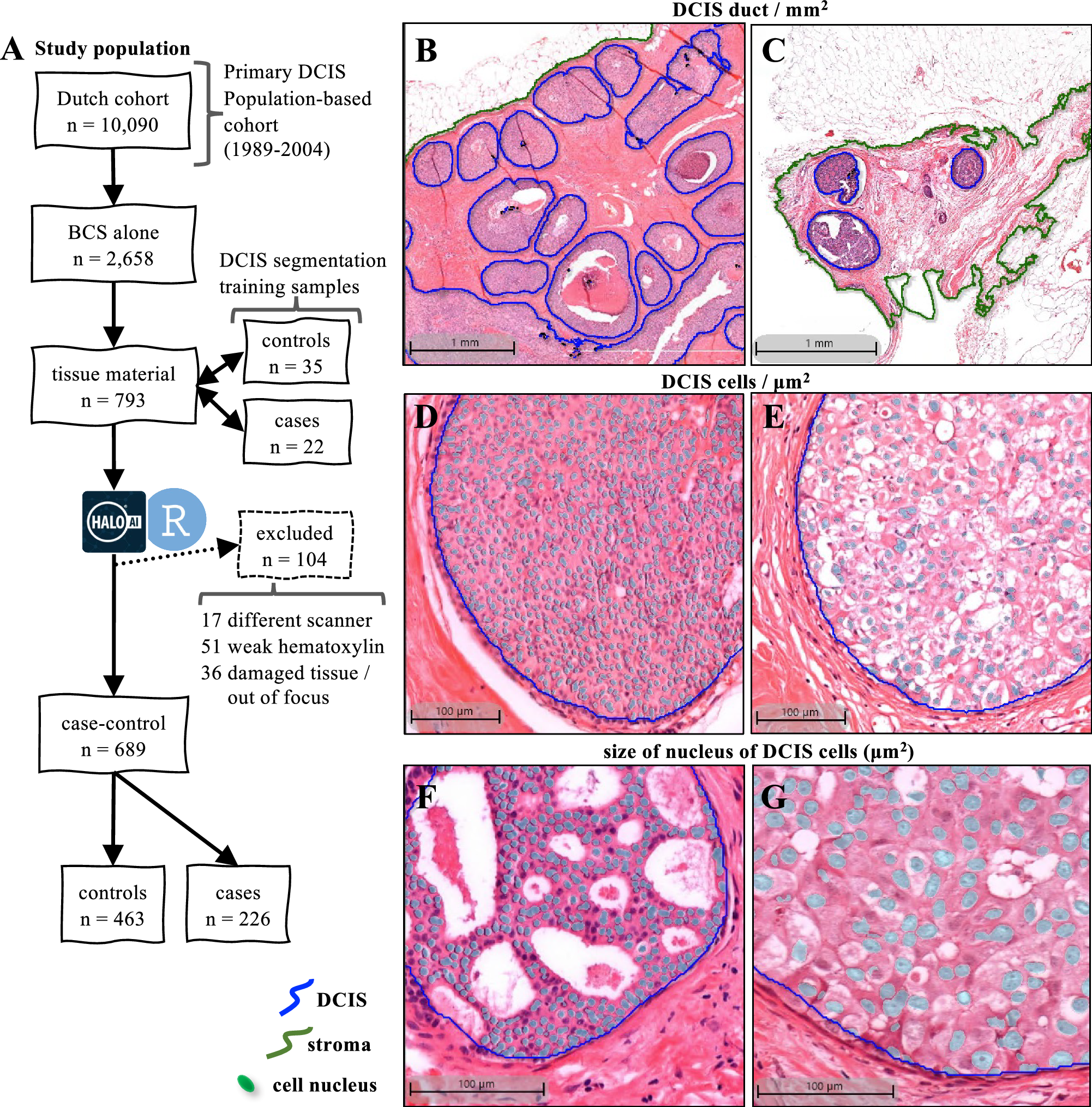 Fig. 2: Sample and classification details.