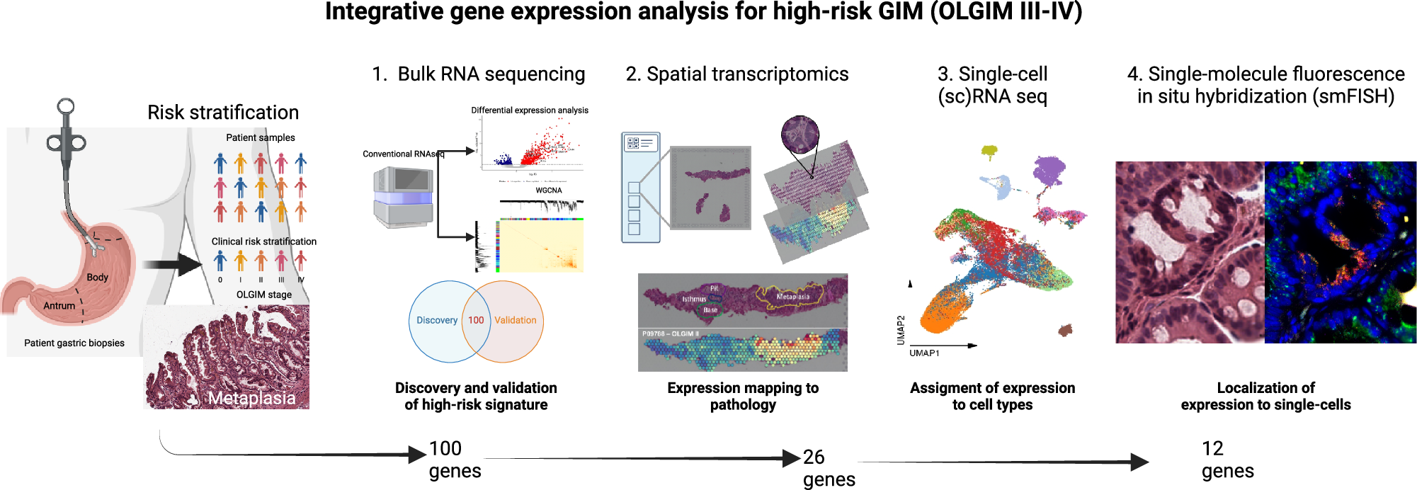 Fig. 1: Overview of study design.
