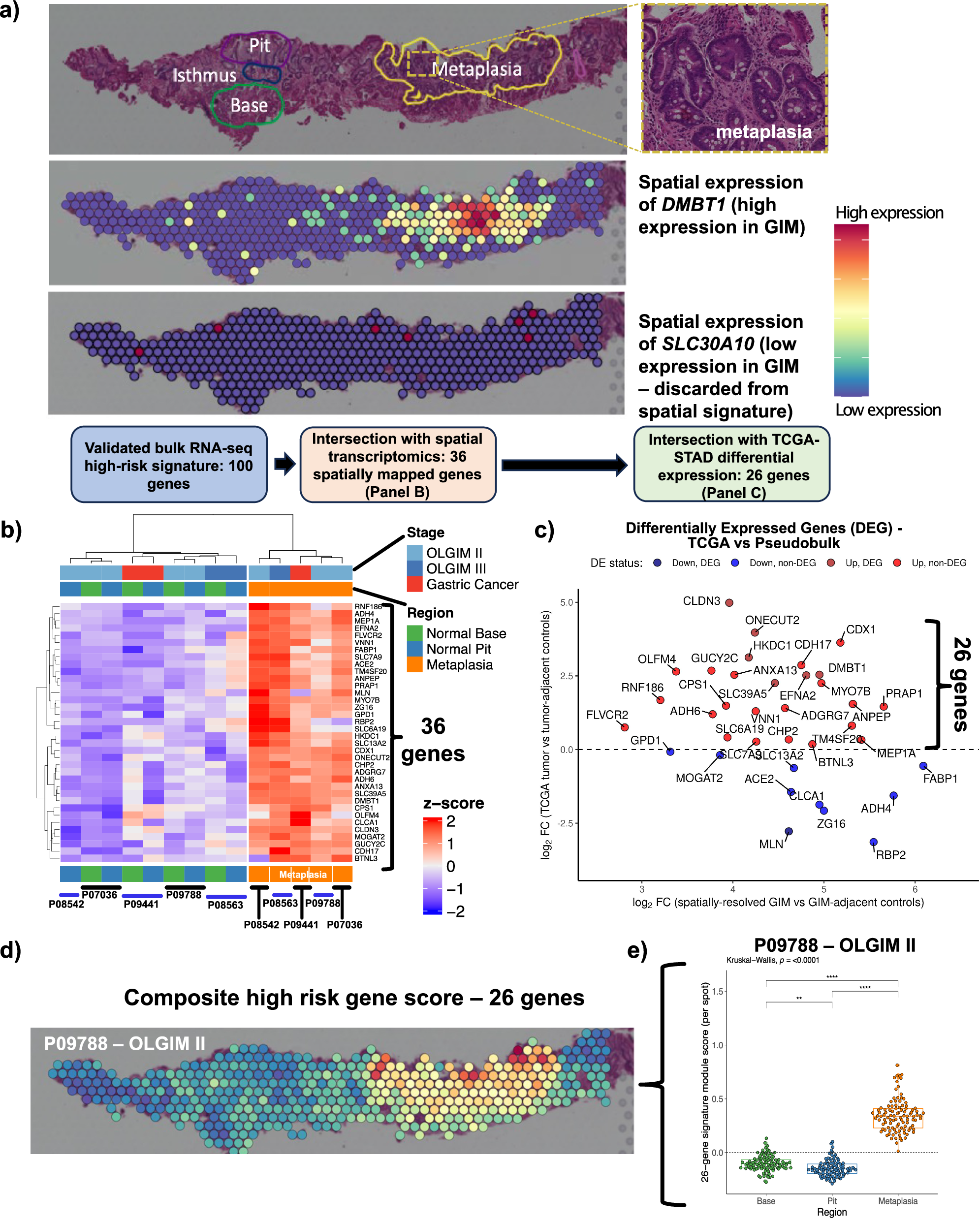 Fig. 3: Spatial resolution of the high-risk signature.