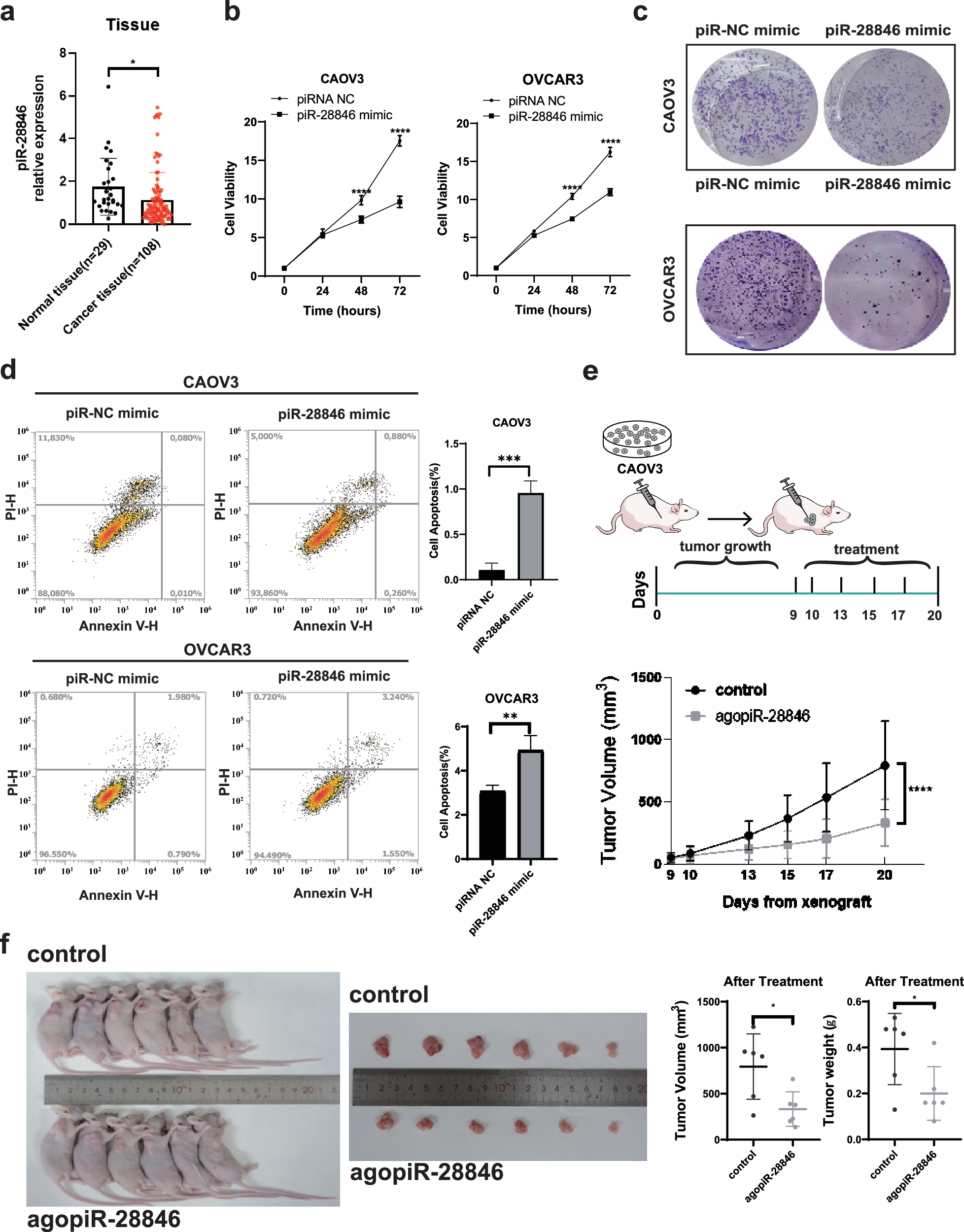 Fig. 1: Expression level of piR-28846 and its effect on ovarian cancer cells and its therapeutic effect.