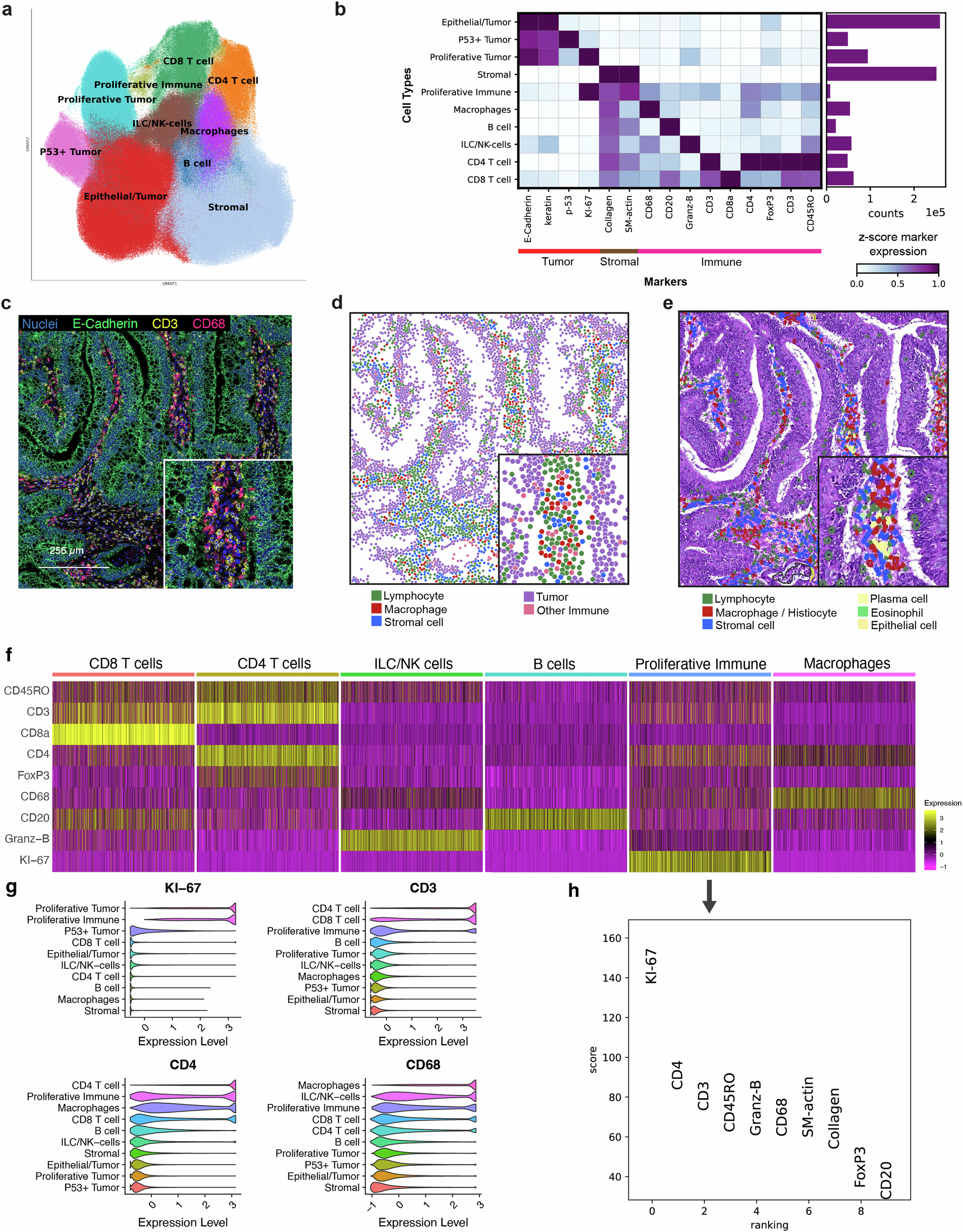 Fig. 2: Determining single-cell identity.