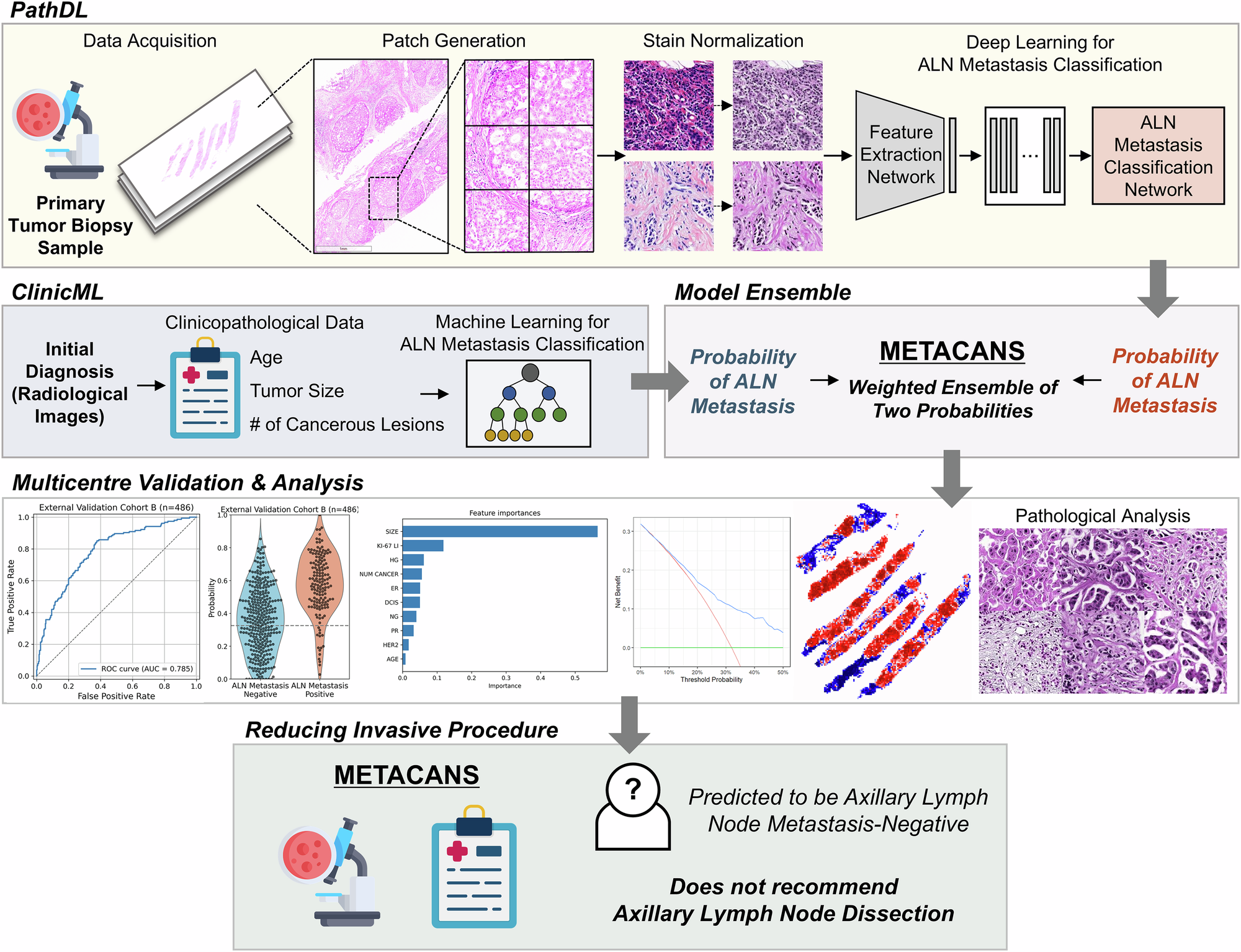 Fig. 5: Overall process of the study.