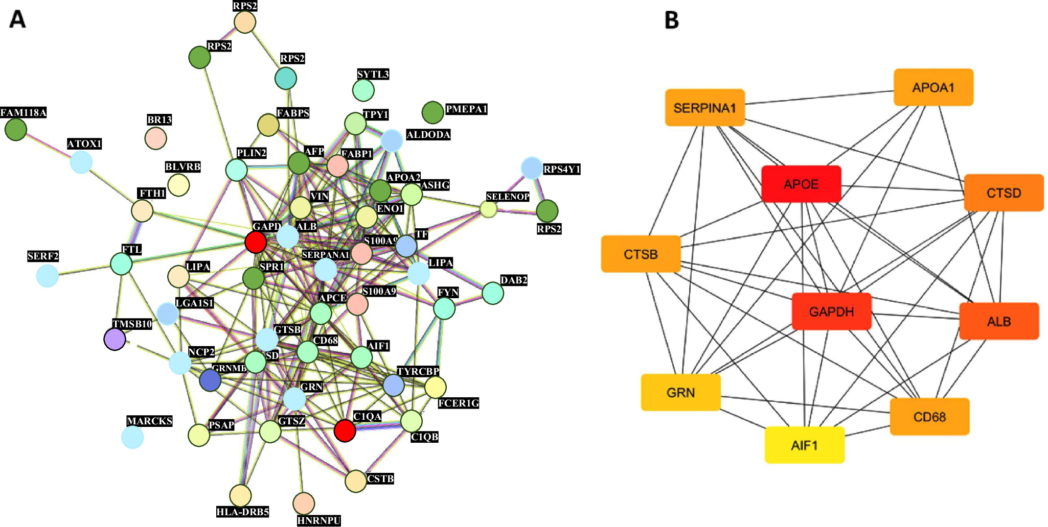 Fig. 6: Protein–protein interaction networks and hub gene analysis.