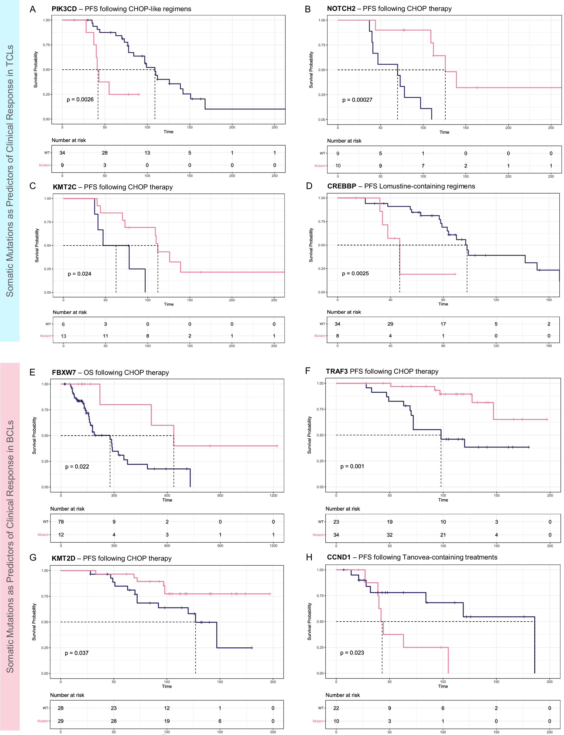 Fig. 4: Survival analysis of the BCLs and TCLs with respect to somatic mutation in the influential genes.