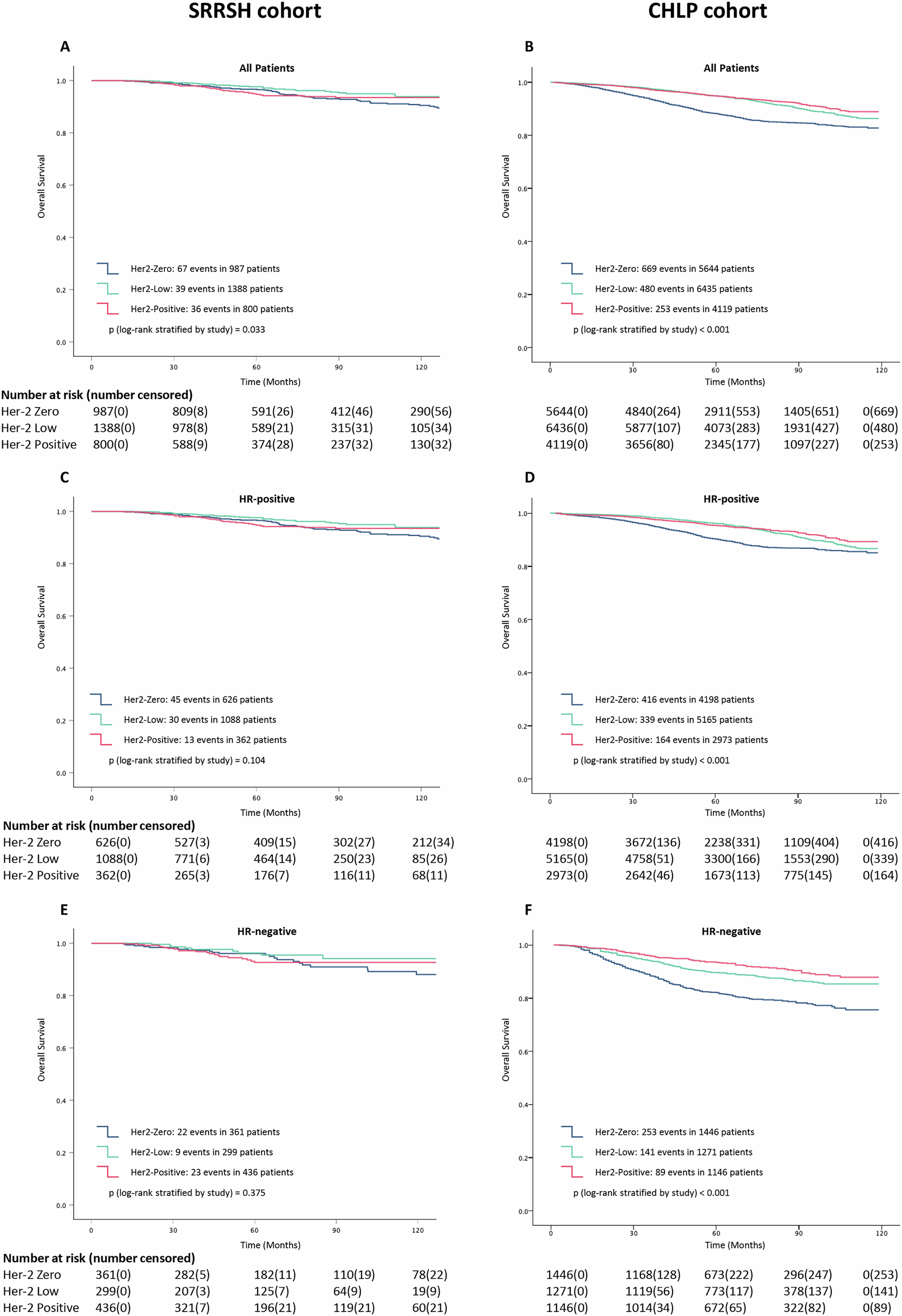 Fig. 1: Kaplan-Meier survival analysis for overall survival in SRRSH and CHLP cohorts.