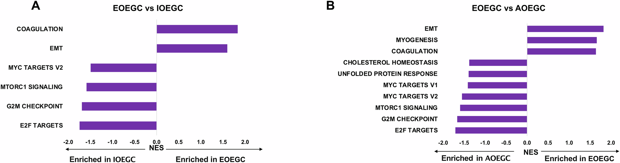 Fig. 4: Gene set enrichment analysis (GSEA) in EOEGC, IOEGC, and AOEGC.