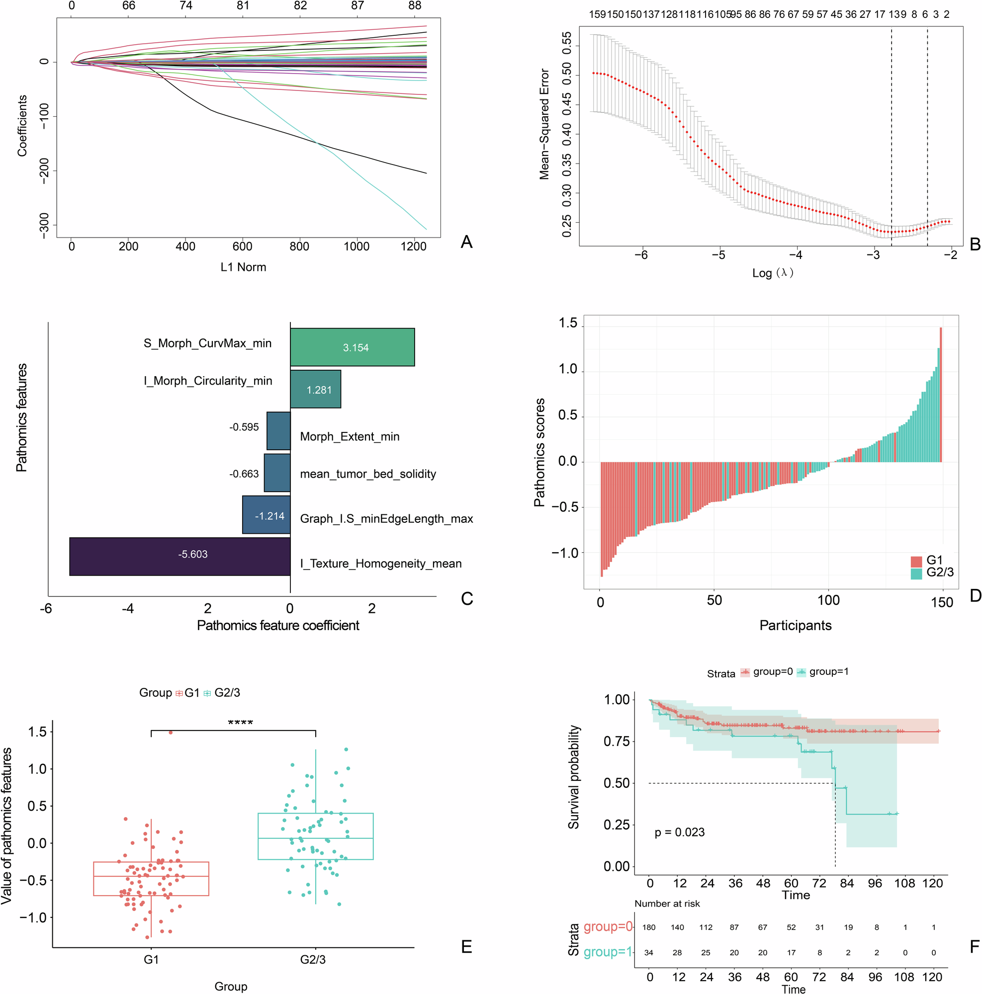Fig. 3: Development and validation of the pathomics score.