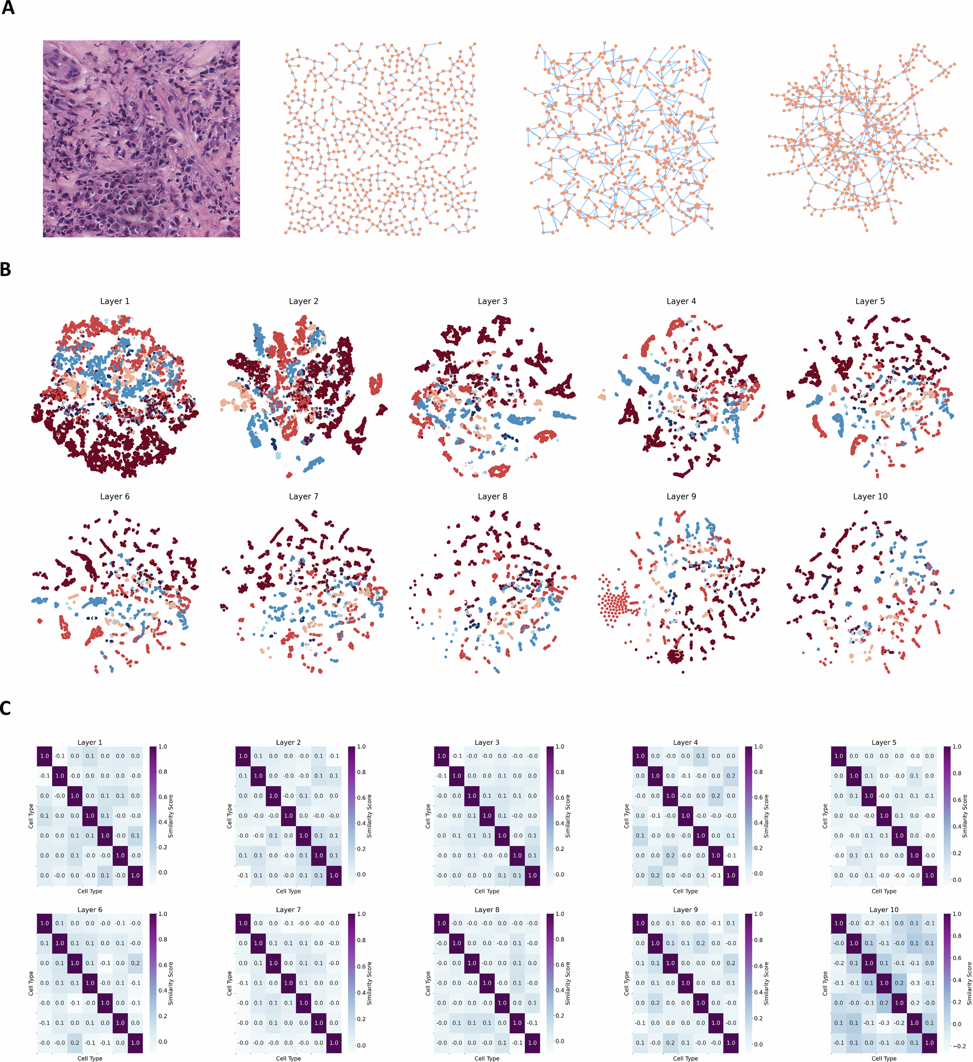 Fig. 3: Visualizing spatial features and heterogeneous message passing in deep GNN layers.