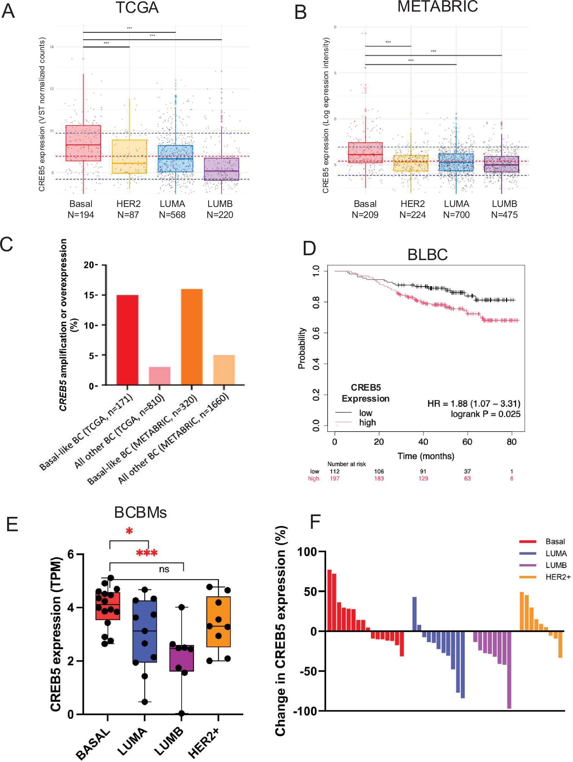 Fig. 1: Clinical characterization of CREB5 in BC subtypes.