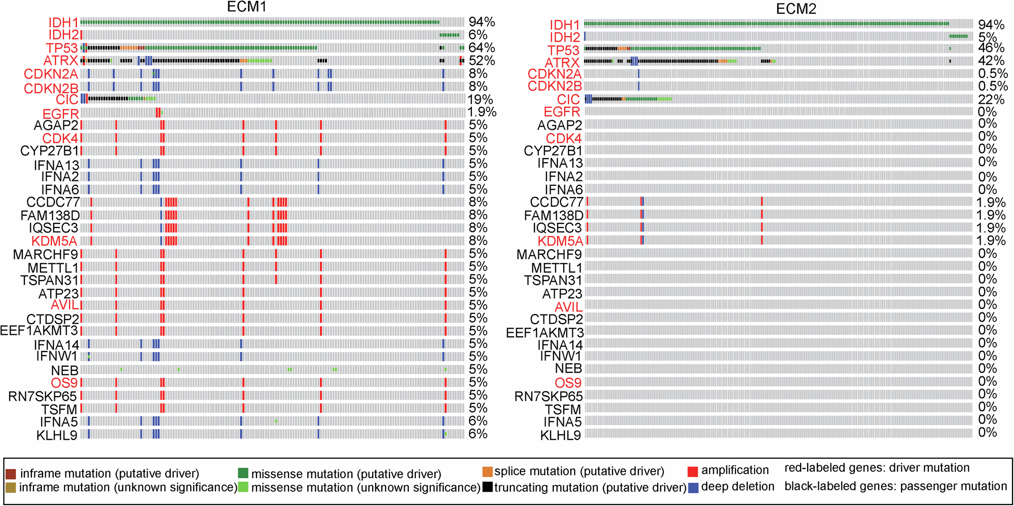 Fig. 2: Mutation landscape of ECM1 and ECM2 subtypes.