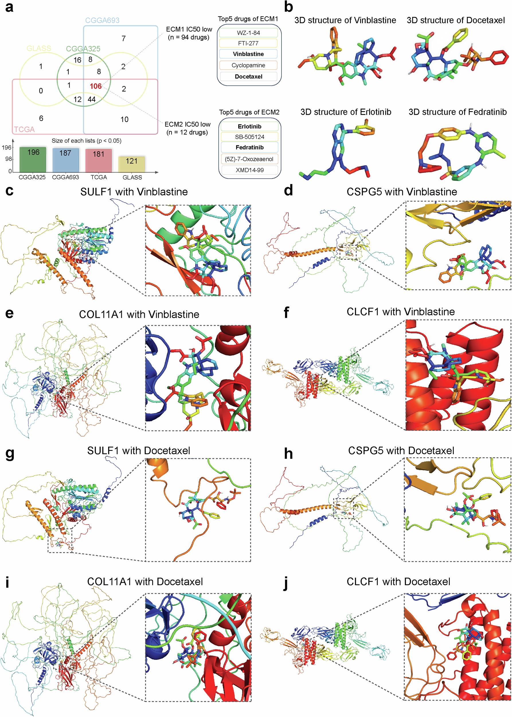 Fig. 9: Molecular docking analysis of ECM subtype-selective drugs with ECM key signature.