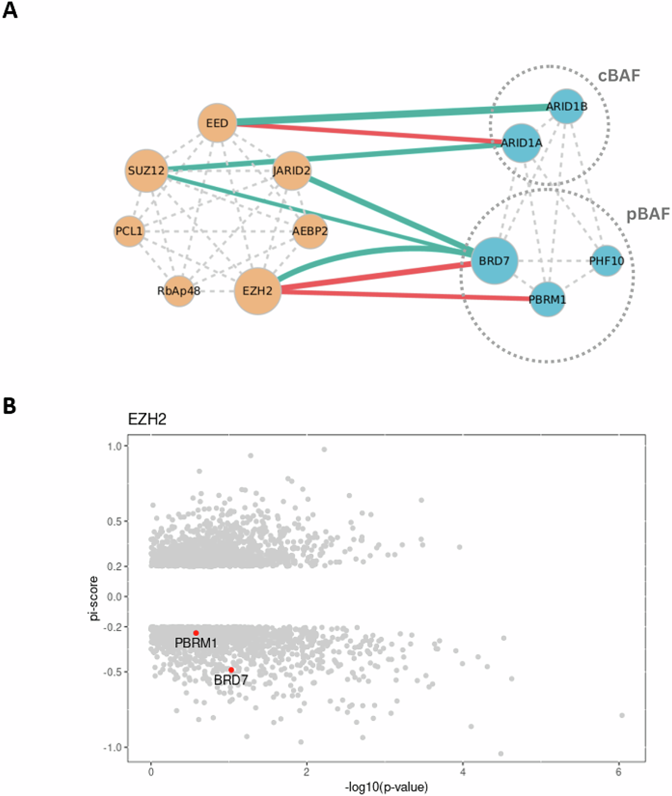Fig. 3: Protein-protein genetic interactions network.