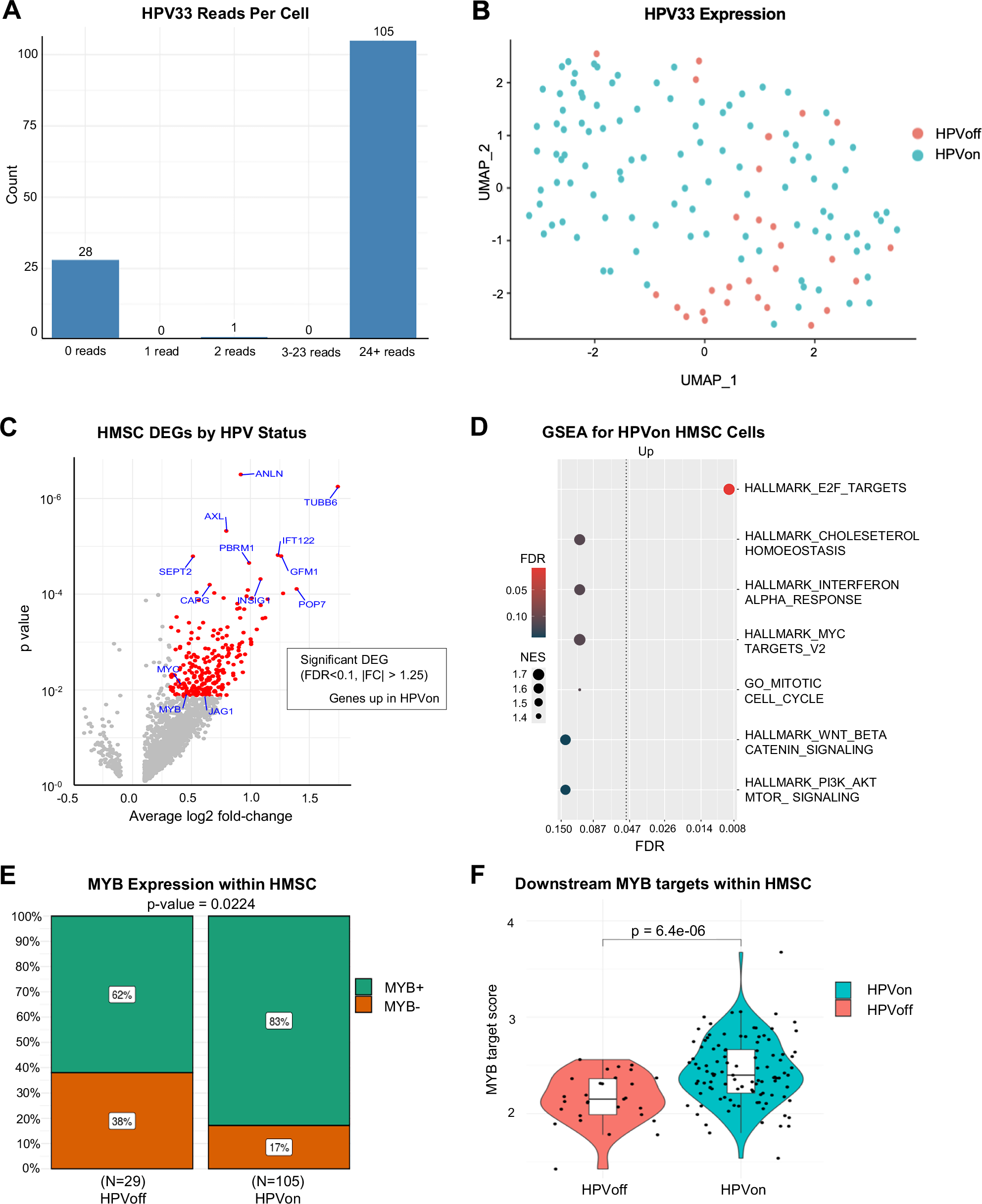 Fig. 4: HPV is associated with MYB in HMSC.