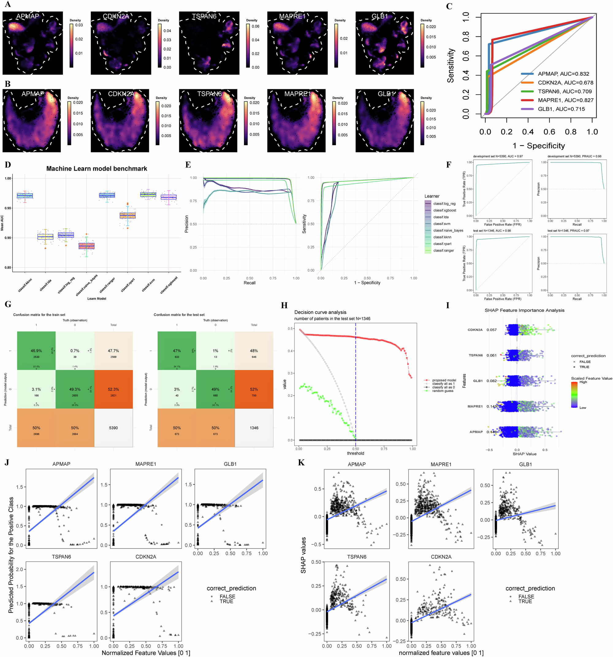 Fig. 6: Validation of HighStem hub genes and evaluation of machine learning classifier performance.