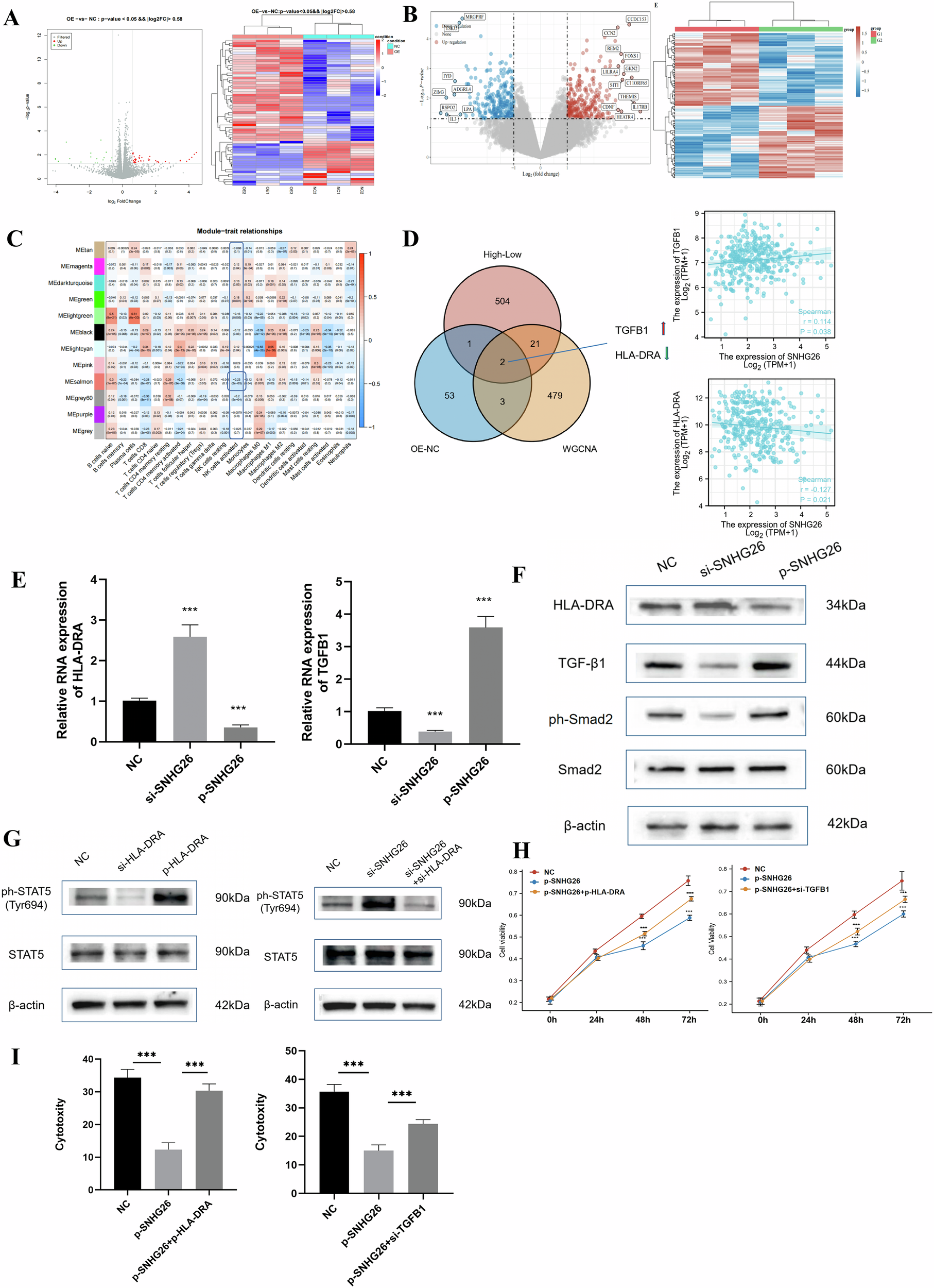 Fig. 4: SNHG26 exhibited specificity towards HLA-DRA and TGFB1 in NK cells.