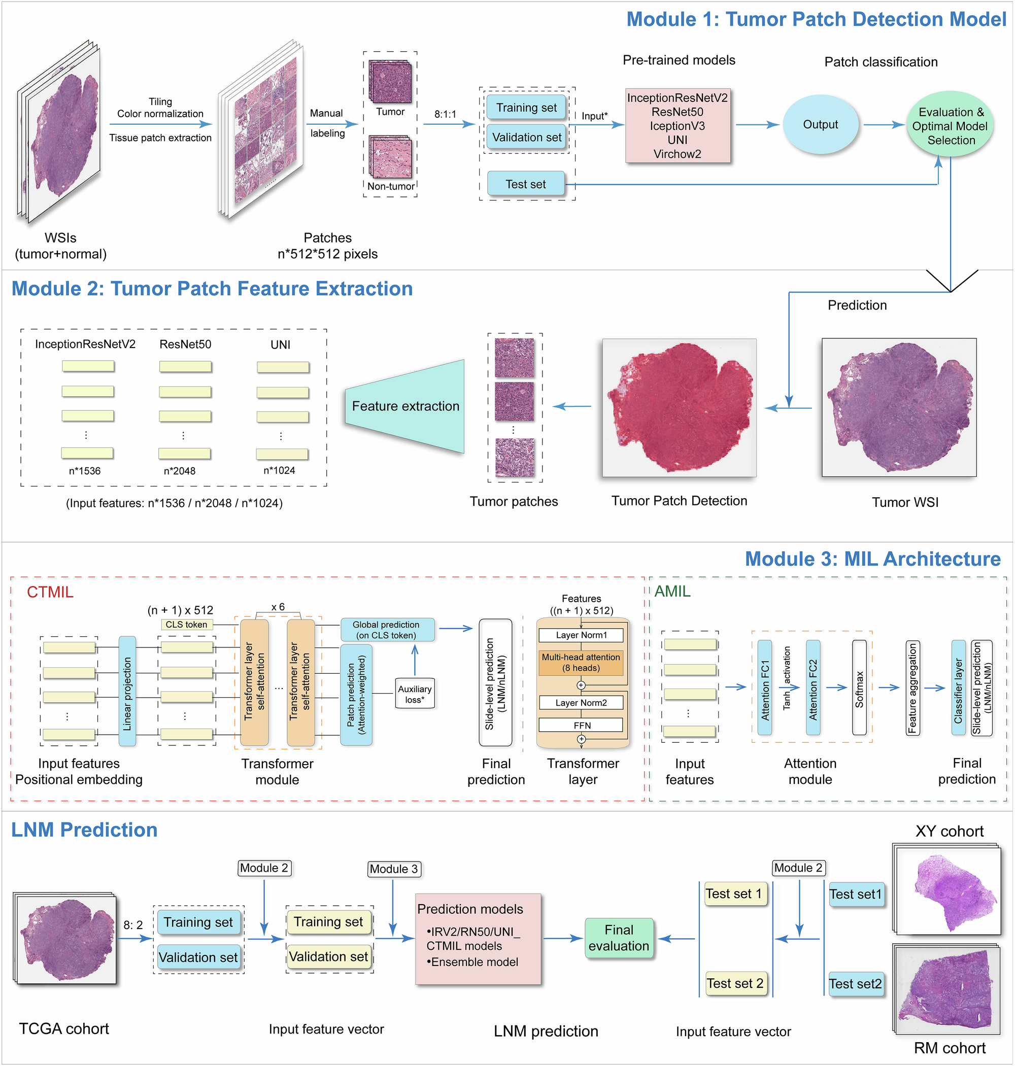 Fig. 1: Workflow of our study.