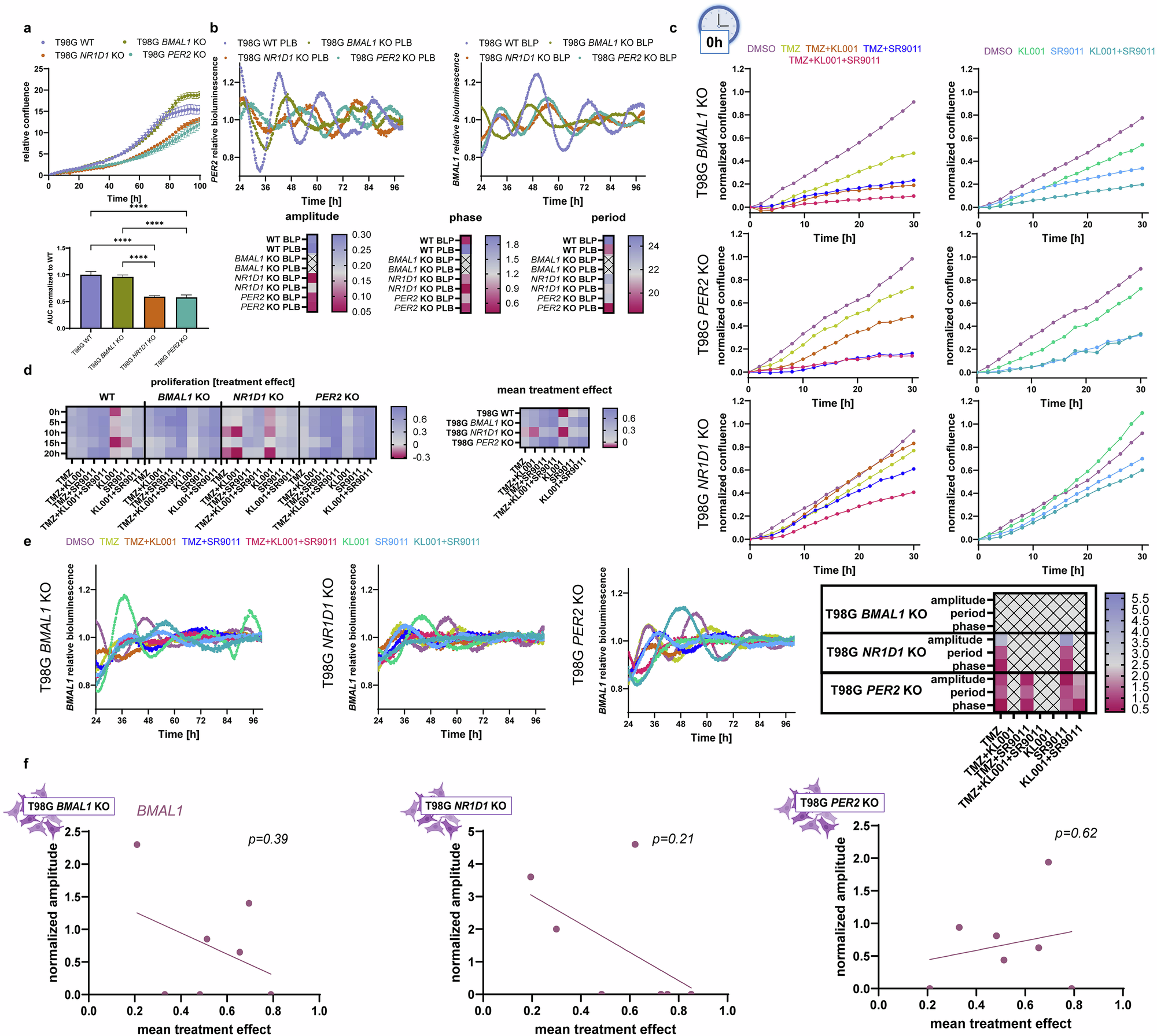 Fig. 5: Genetic perturbation of the circadian clock influences chronotherapy treatment response.