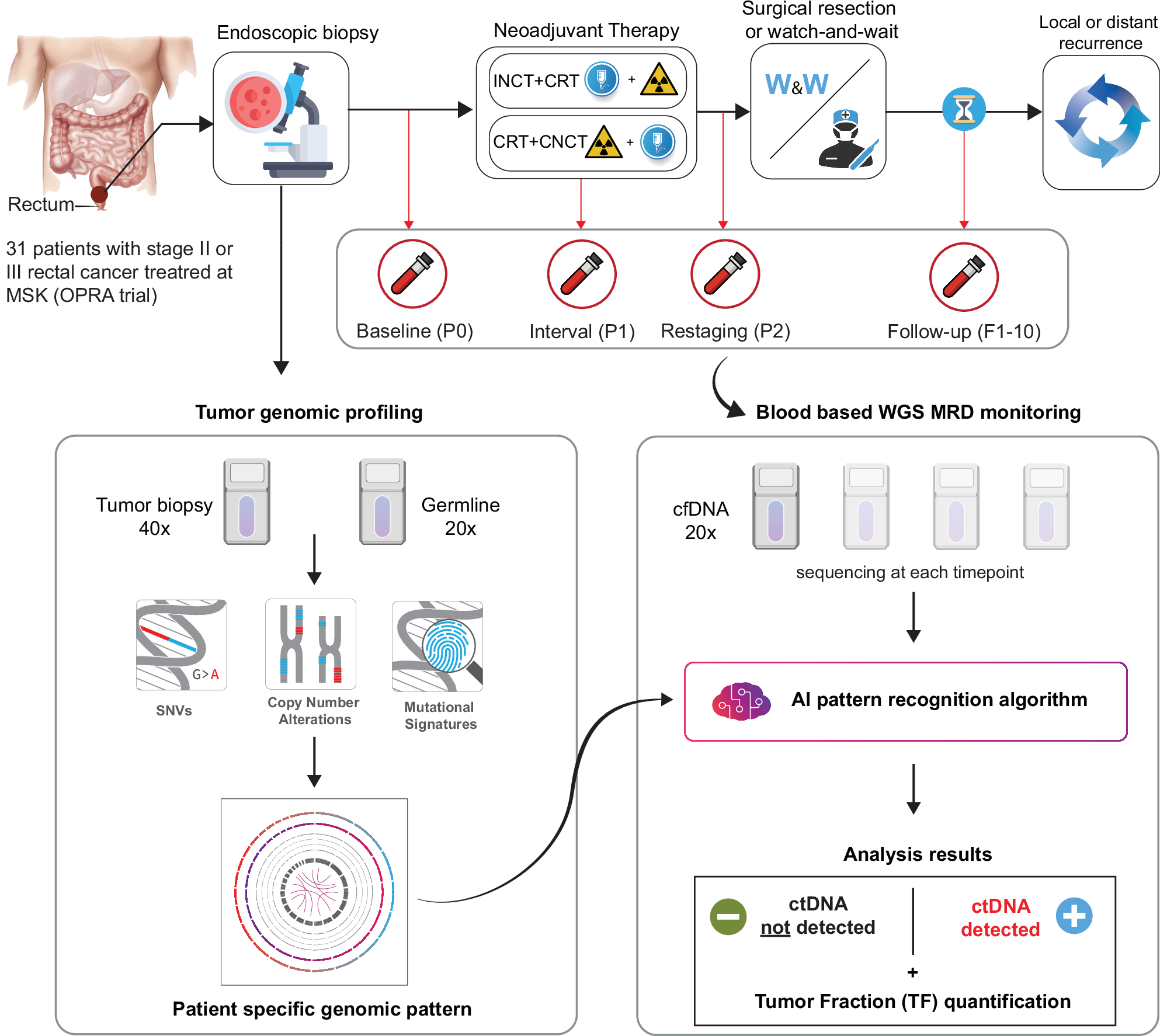 Fig. 1: Study design and overview of computational methods for ctDNA analysis.