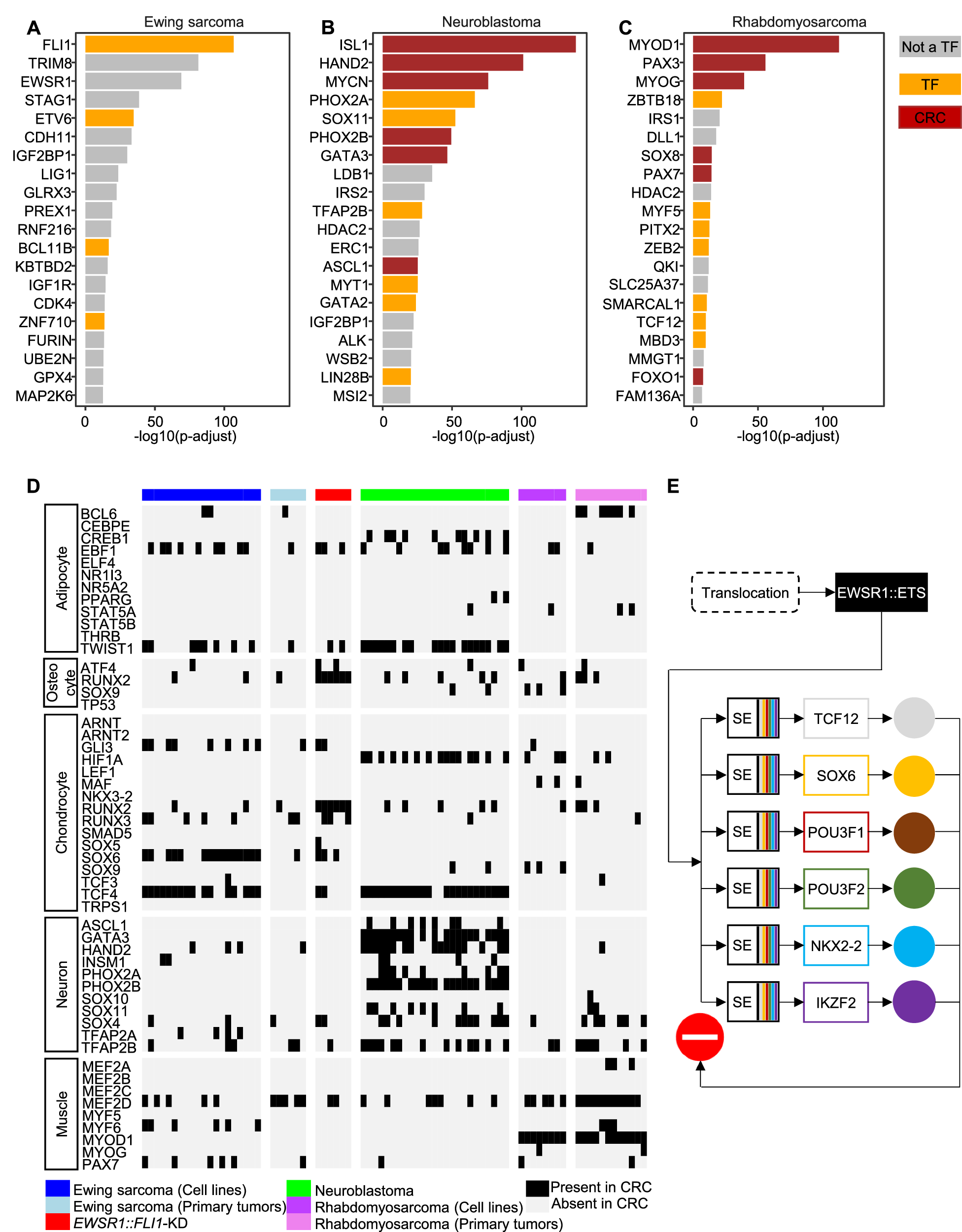 Fig. 6: Core regulatory circuitry (CRC) and dependencies in Ewing sarcoma compared to other pediatric cancers and normal tissues.