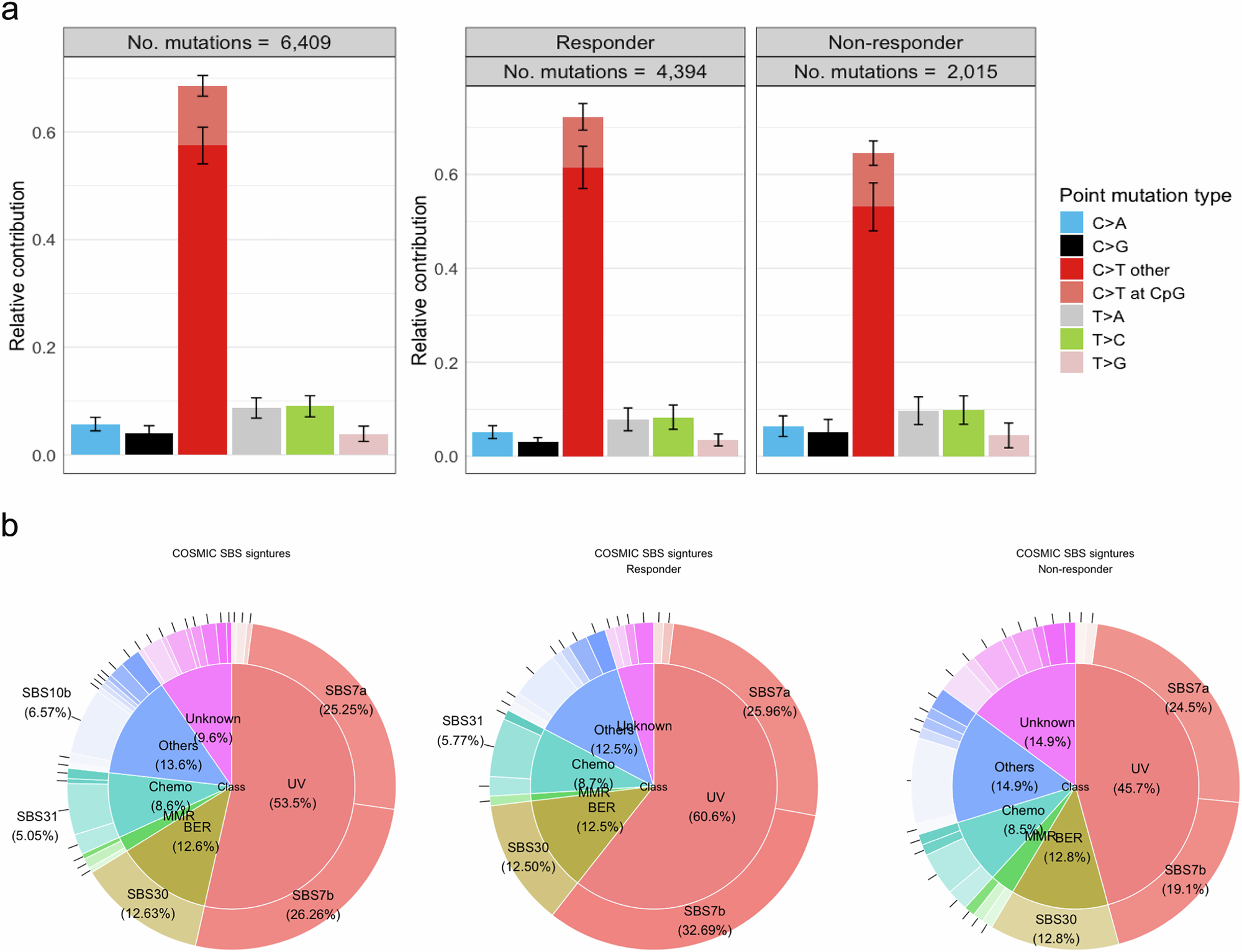 Fig. 3: Patients mutation profile and signature.
