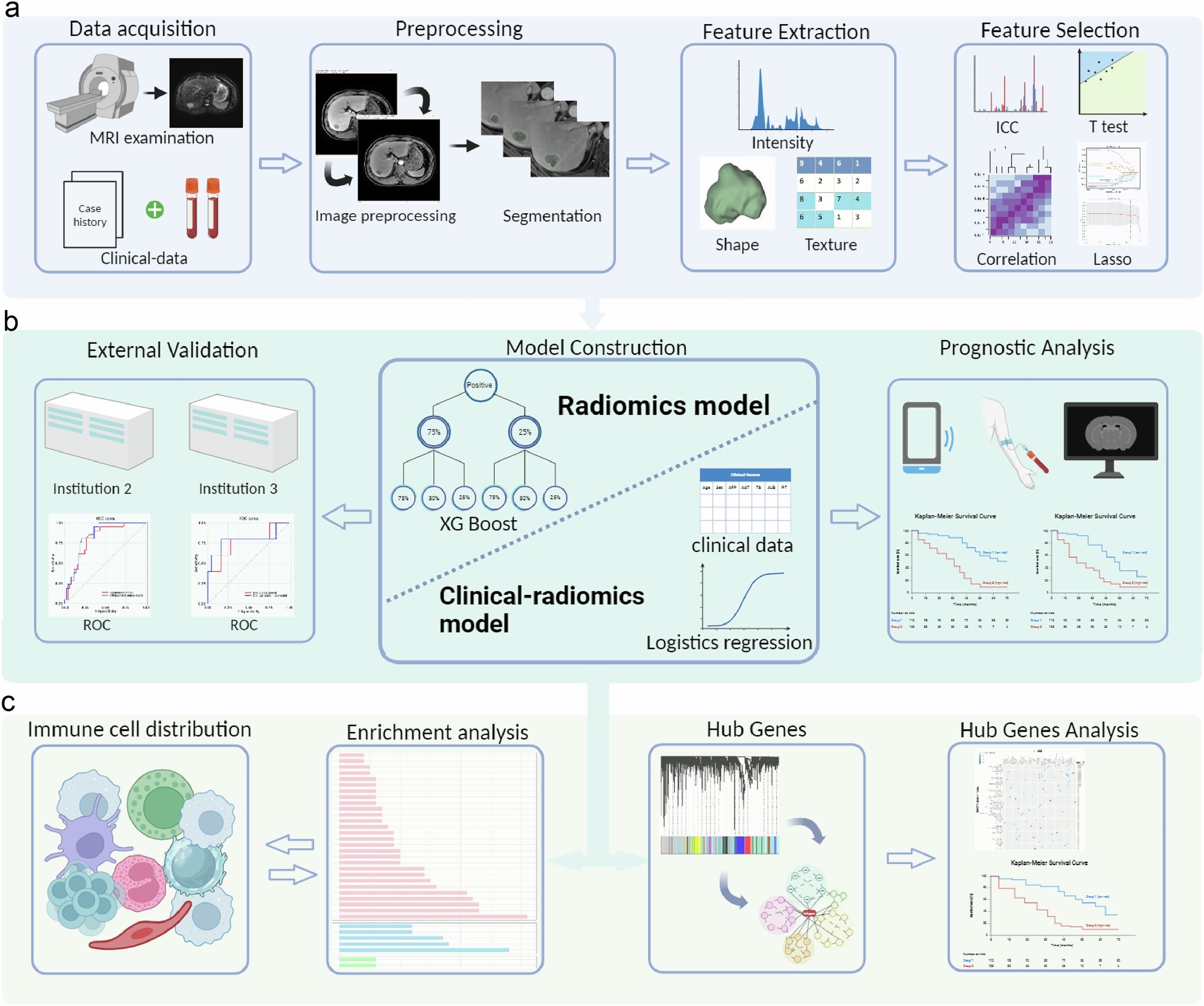 Fig. 1: The workflow of the overall study.