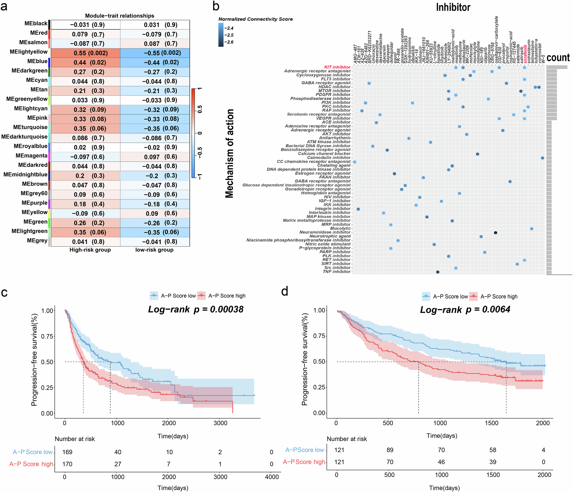 Fig. 6: Hub genes predict potential therapeutic target pathways and prognosis.