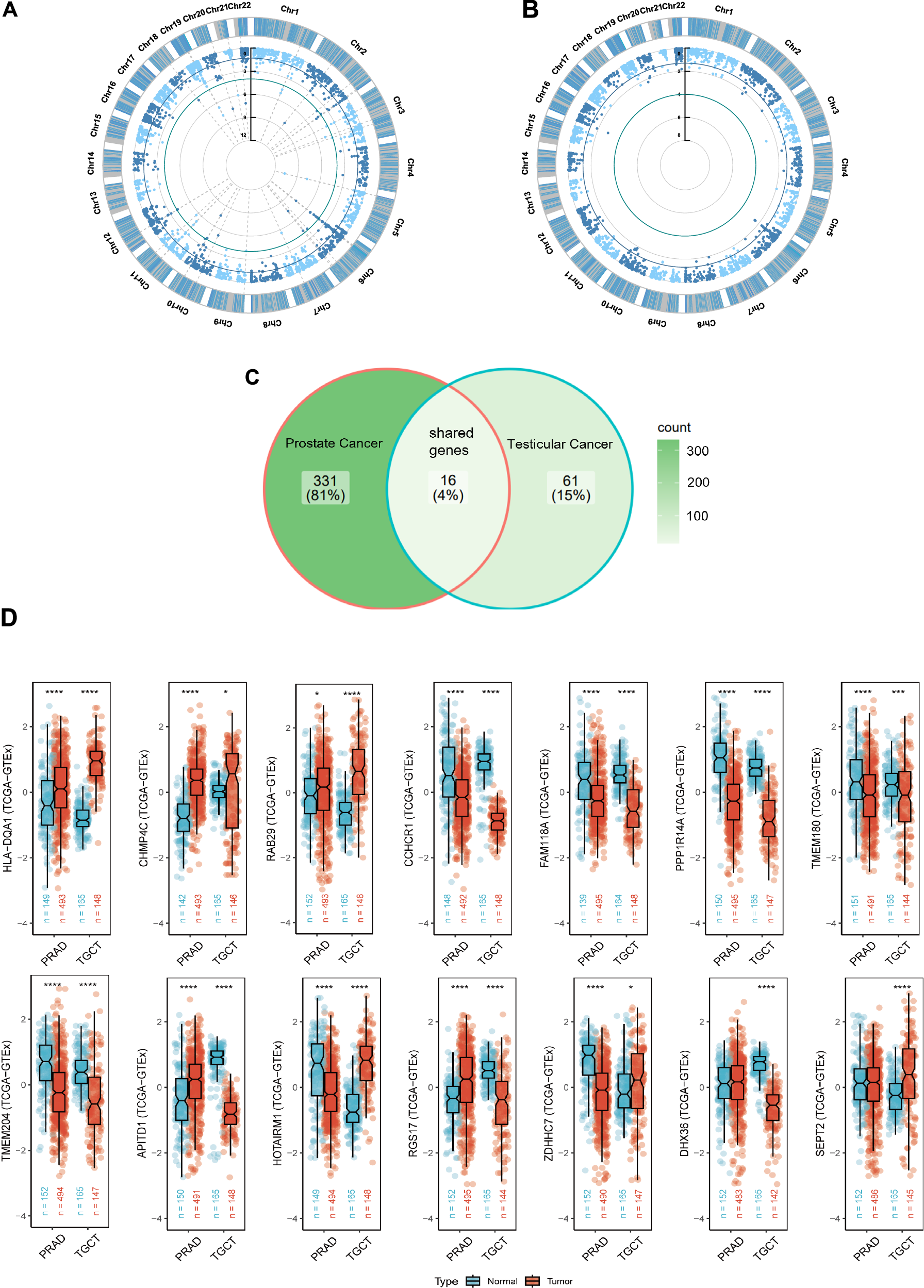 Fig. 5: Shared functional genes identified by summary-database Mendelian randomization (SMR) analysis in Prostate Cancer (PCa) and Testicular Cancer (TC).
