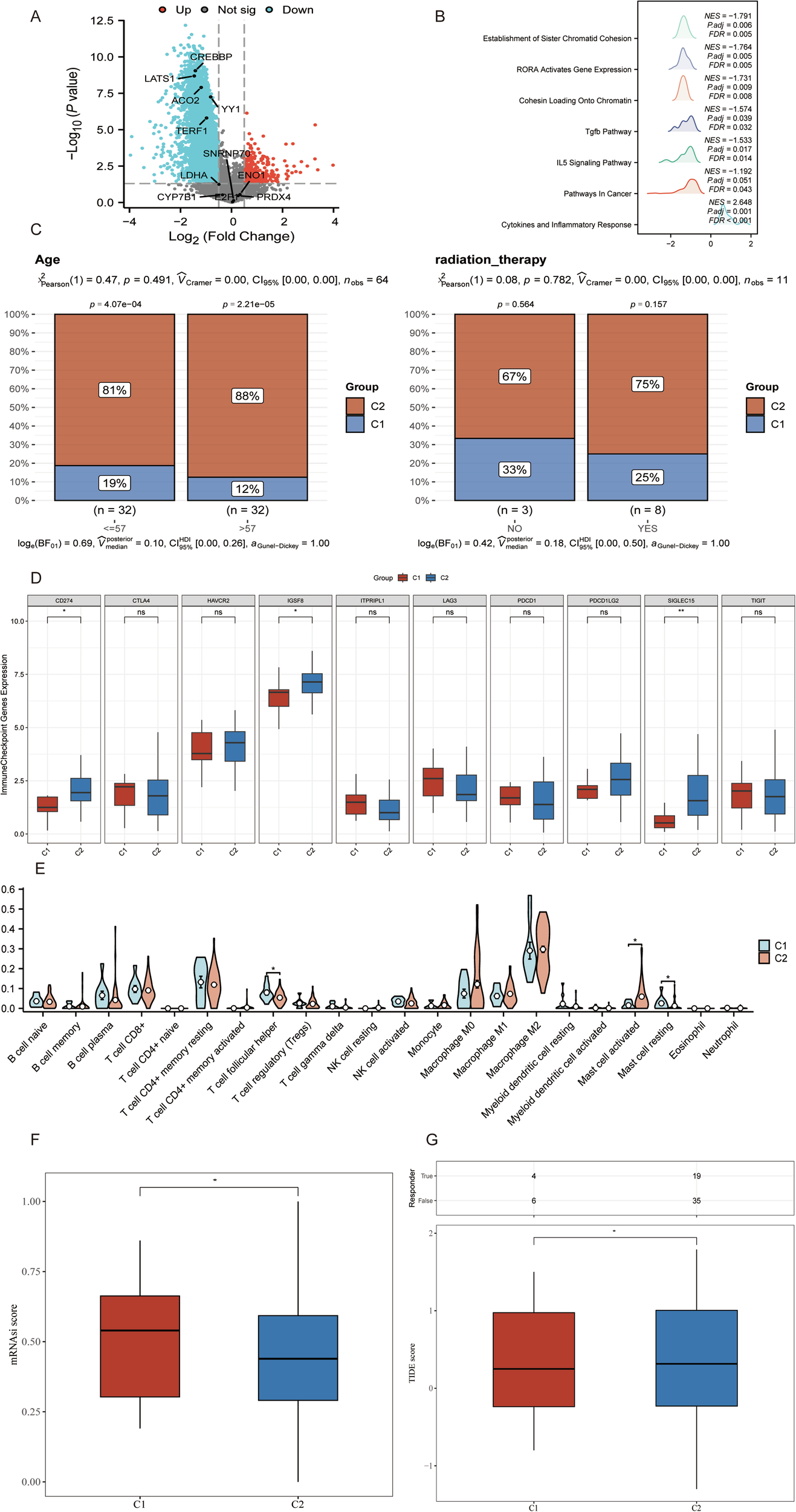 Fig. 7: Molecular pathways and immune landscape differences between the C1 and C2 EMT–NM subgroups.