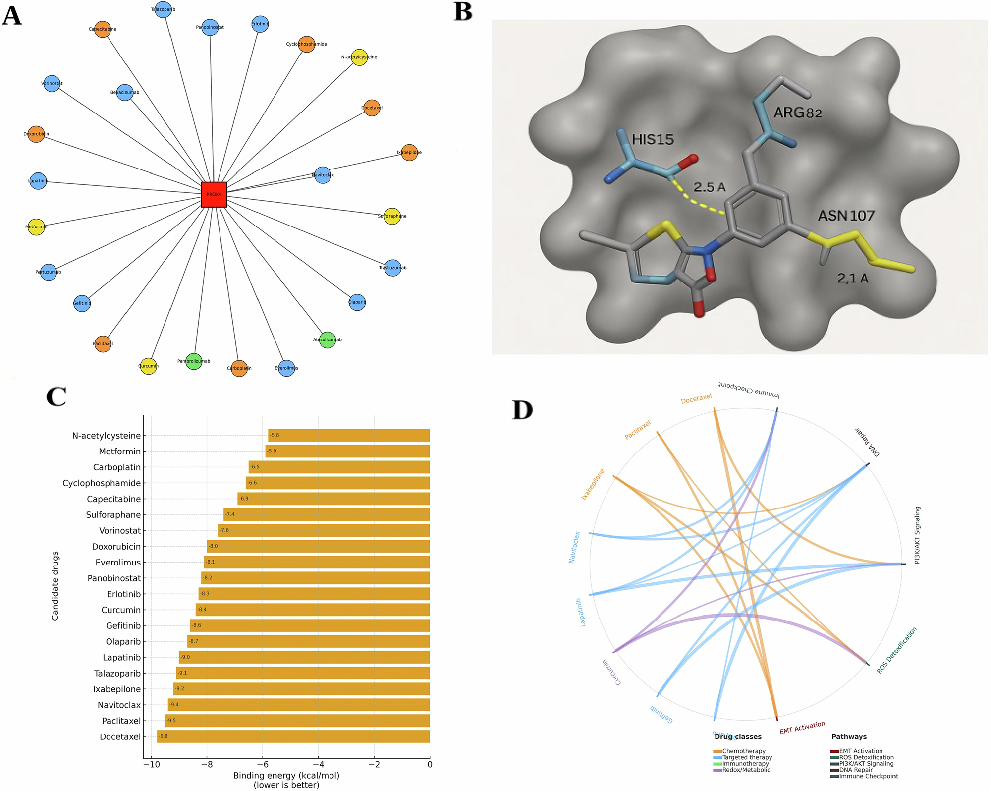 Fig. 8: Drug repurposing and molecular docking identify candidate PRDX4-targeting compounds and pathway coverage.