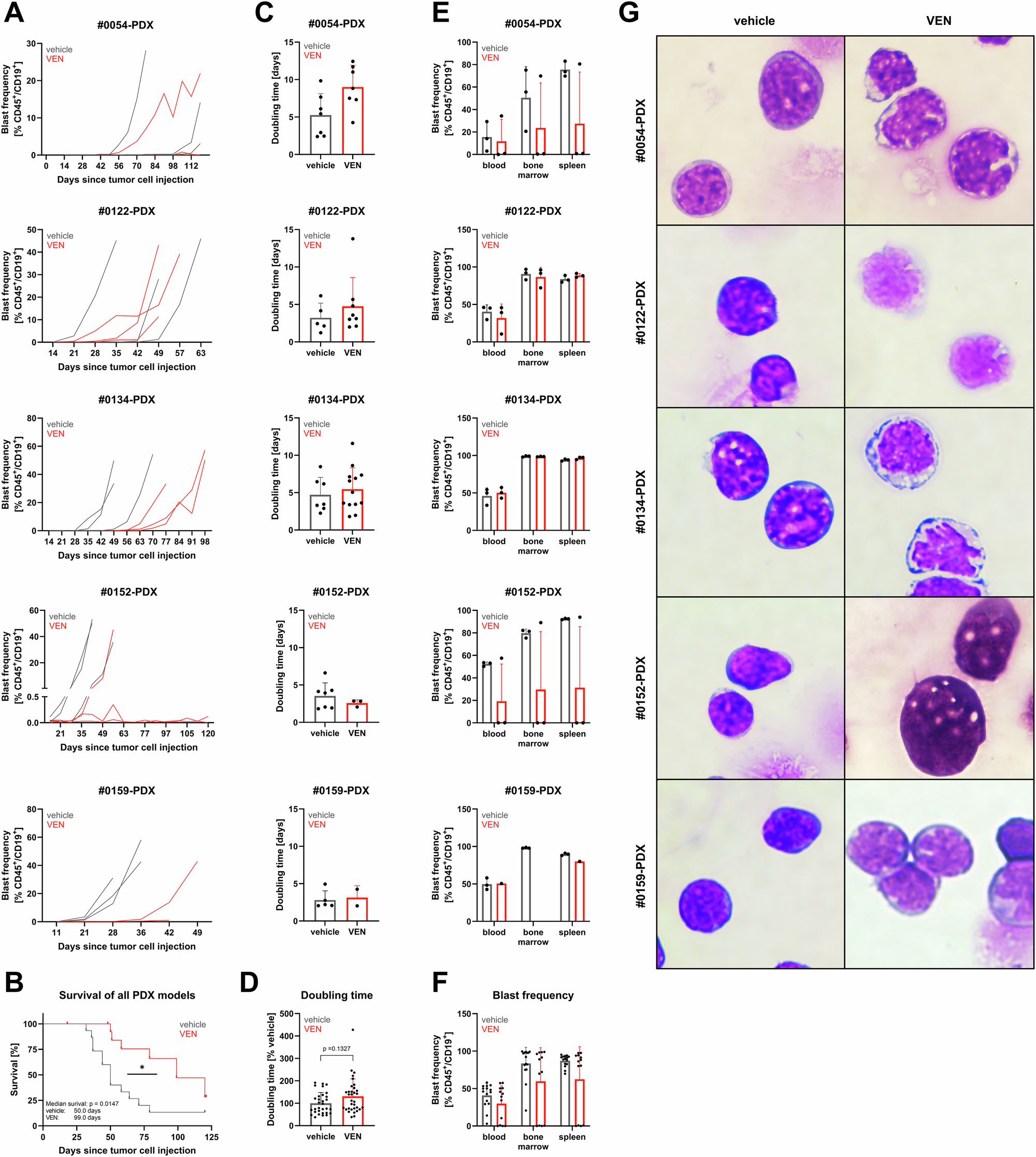 Fig. 3: Induction of VEN resistance in PDX models.