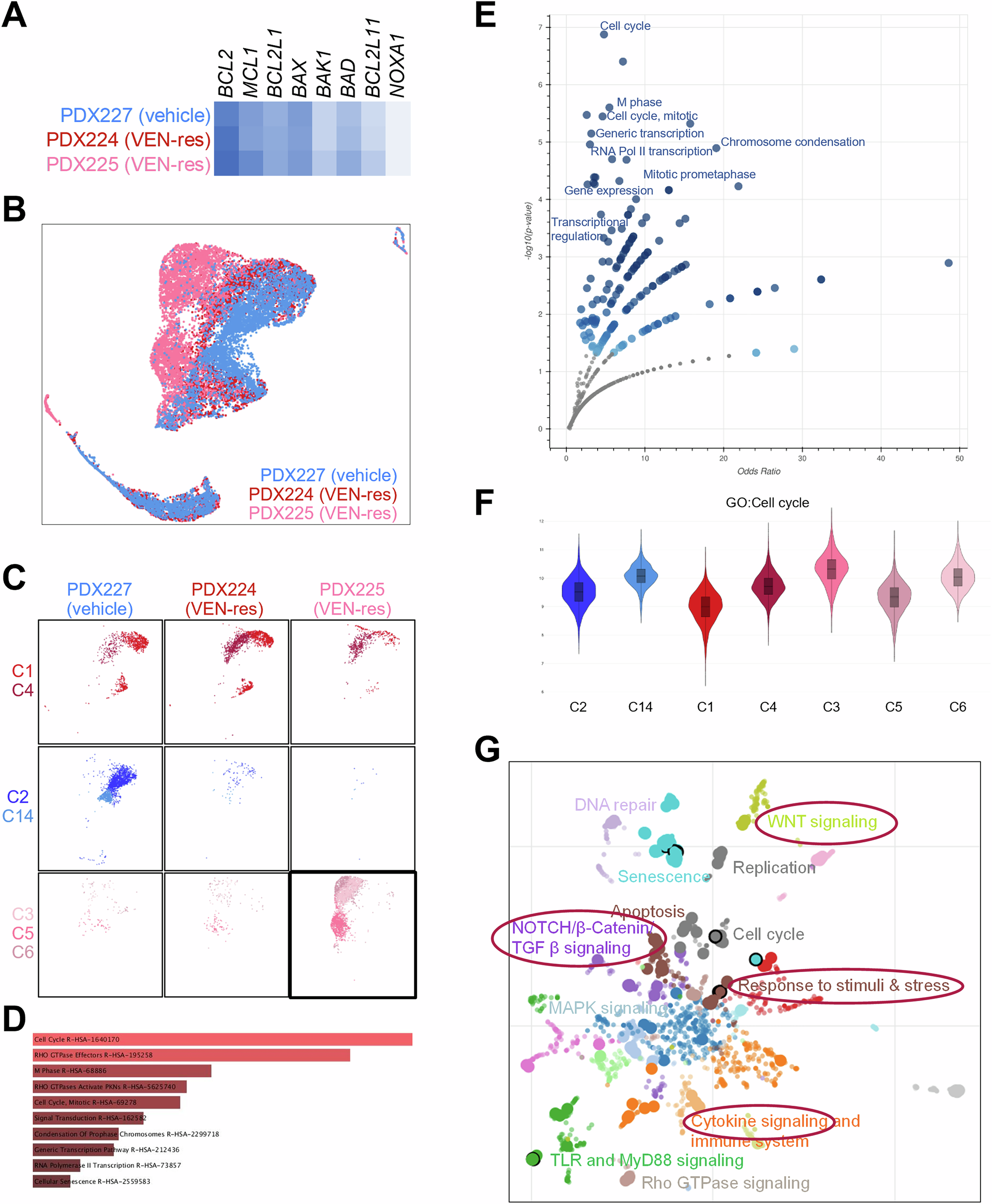 Fig. 5: Gene expression profiling of three patient #0134-derived xenografts using single cell transcriptomics.