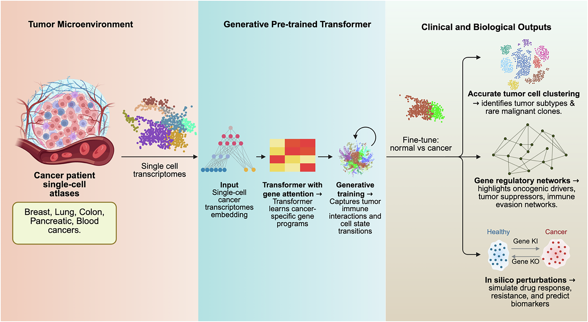 Fig. 5: Application of generative pre-trained transformers to the transcriptomes of single-cell cancer.