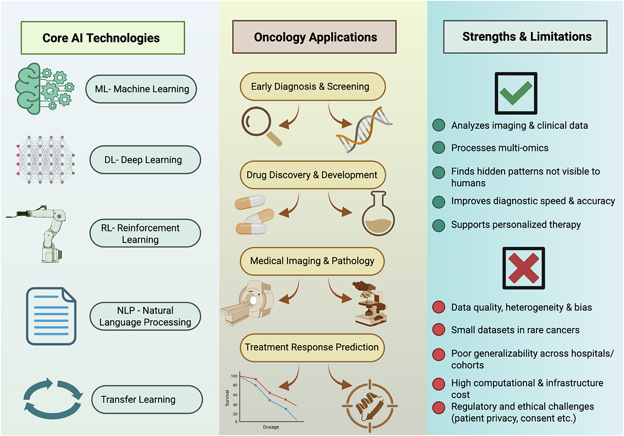 Fig. 6: Shows various types of AI, such as ML, DL, NLP, TL, and RL, that could be used in cancer care.