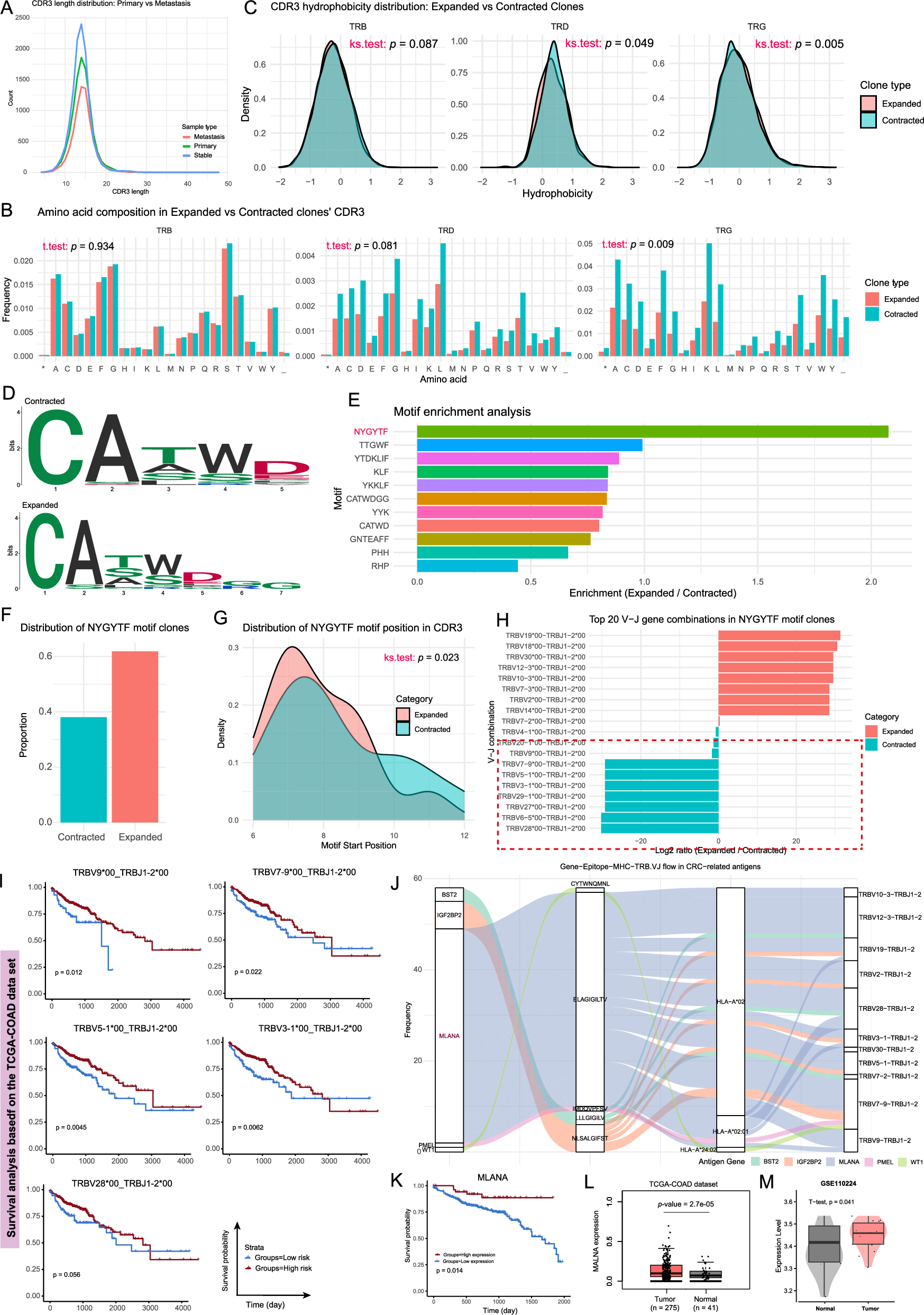 Fig. 6: Characteristics of complementary determining region 3 (CDR3) length, hydrophobicity, motifs, and V-J gene combinations in expanded and contracted T-cell receptor (TCR) clones.