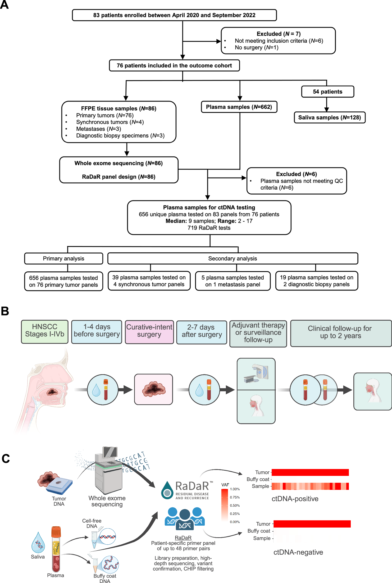 Fig. 1: LIONESS study design.