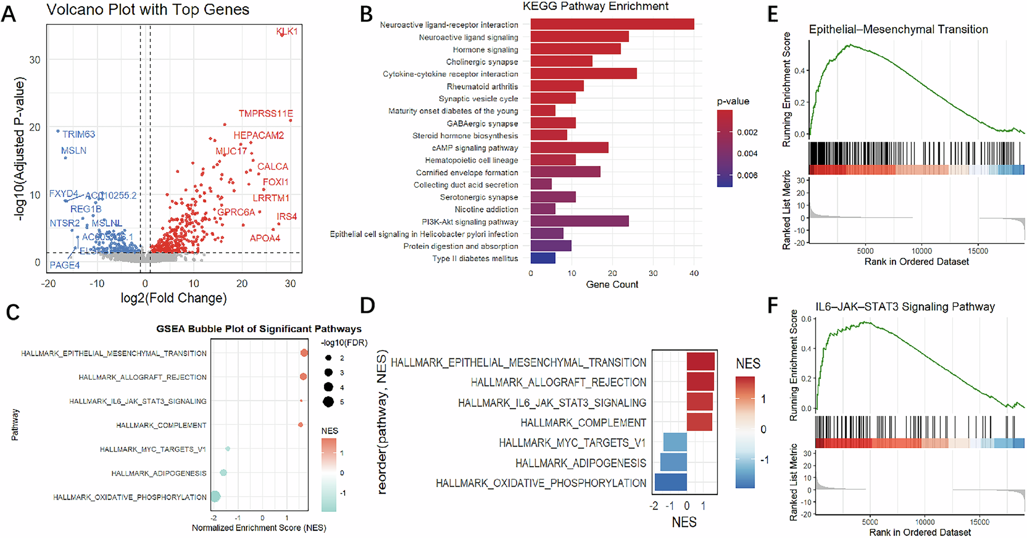 Fig. 5: Transcriptomic correlates of RENALNet-derived risk in clear cell renal cell carcinoma.