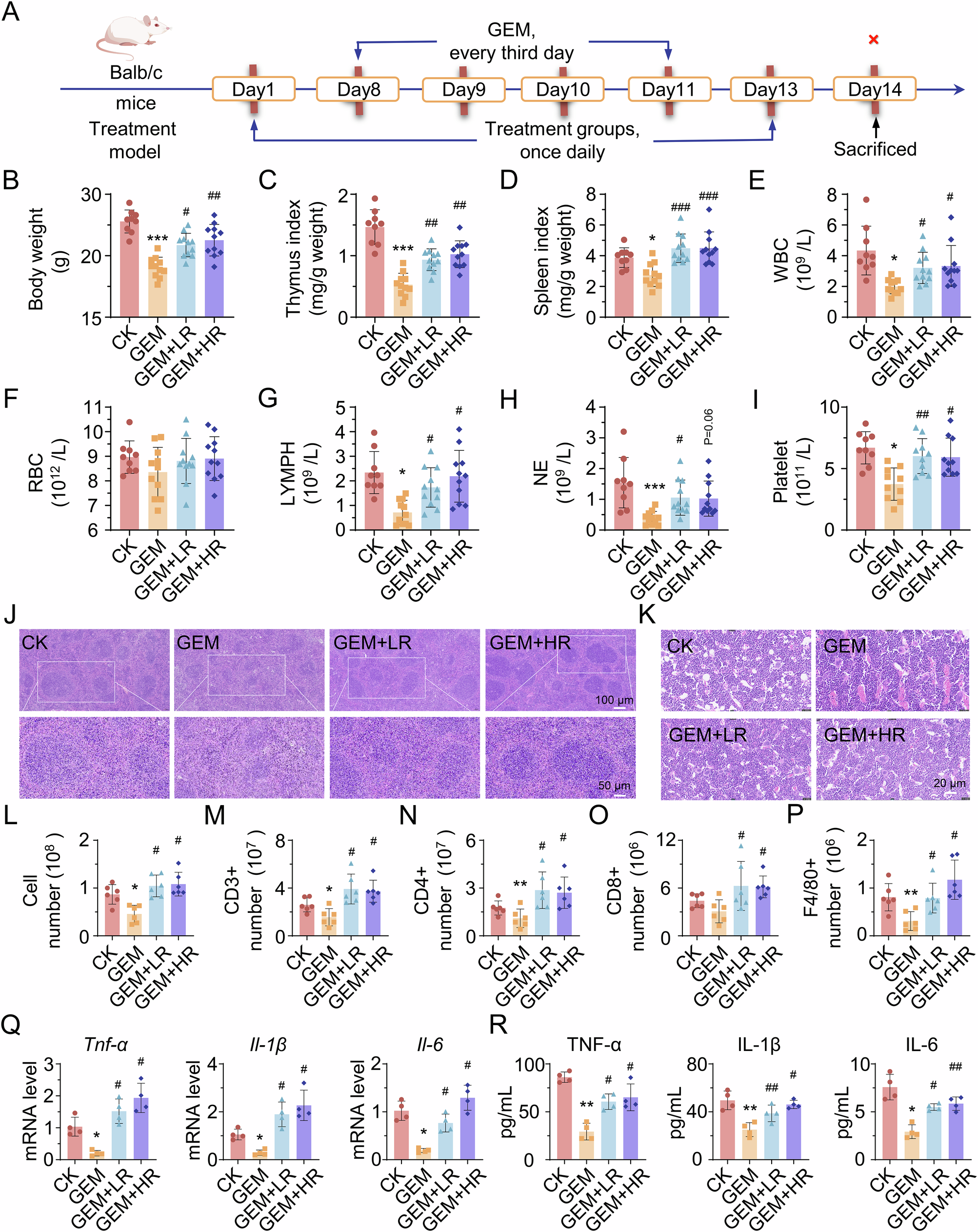 Fig. 5: Riclin mitigates GEM-induced immunosuppression.