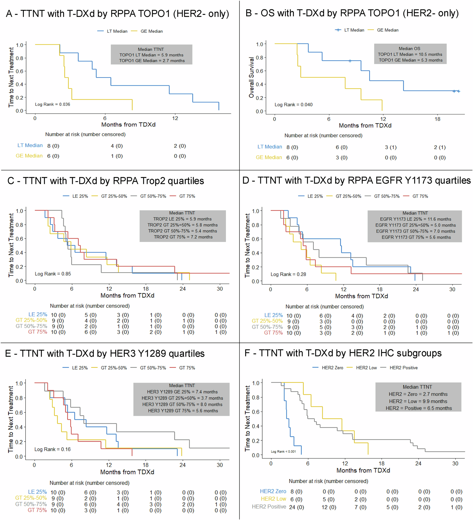 Fig. 5: Outcomes with T-DXd according to pre-treatment CLIA-RPPA-based quantitative status of markers beyond HER2.