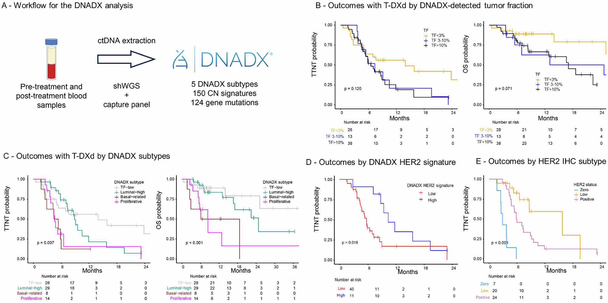 Fig. 7: Prediction of outcomes with T-DXd using DNADX.